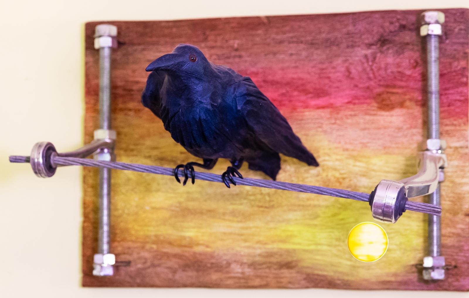 Crow at Sunset
