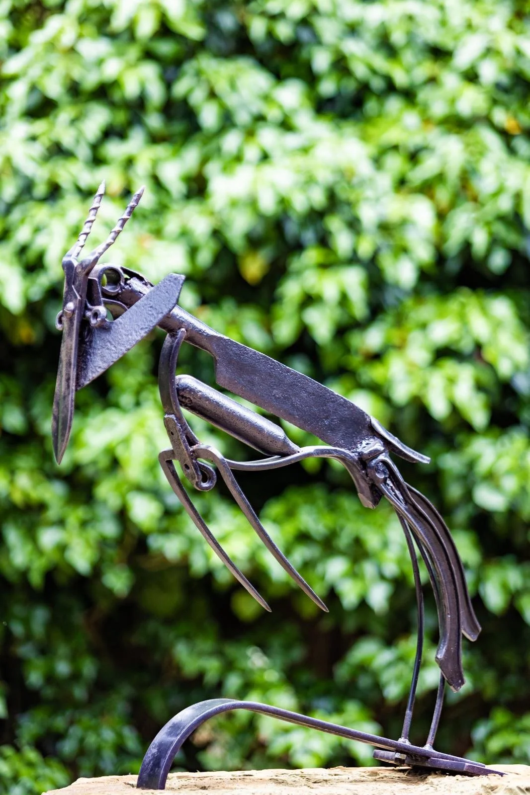 Leaping Antelope