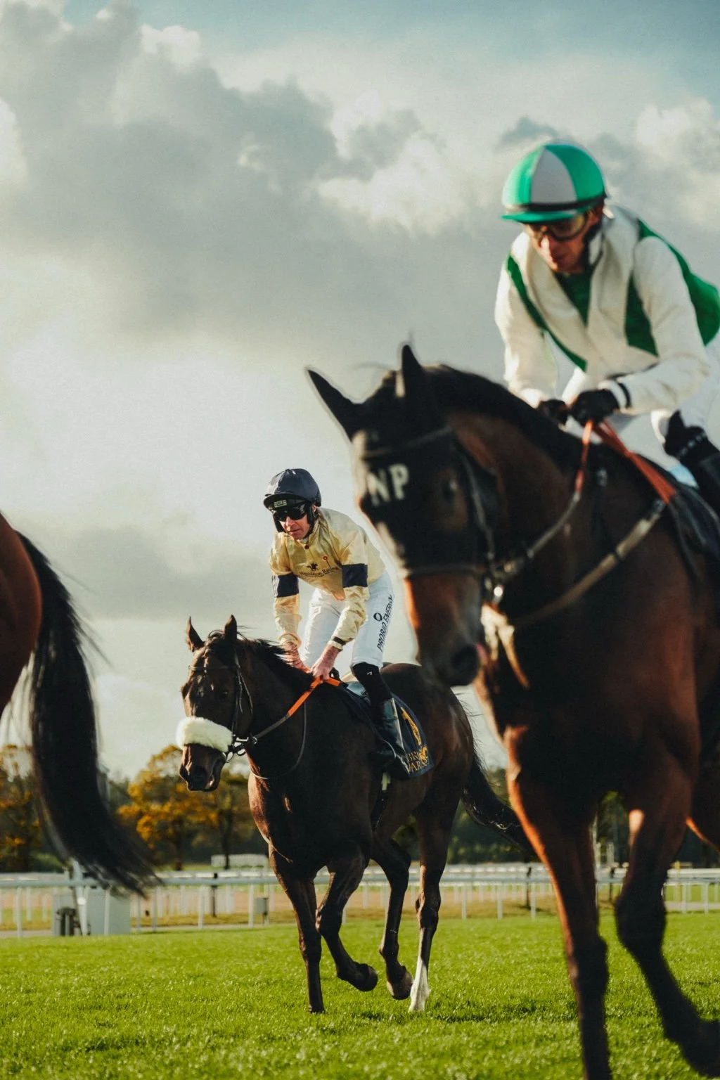 Sport | Jockeyer och hästar vid banans räcke