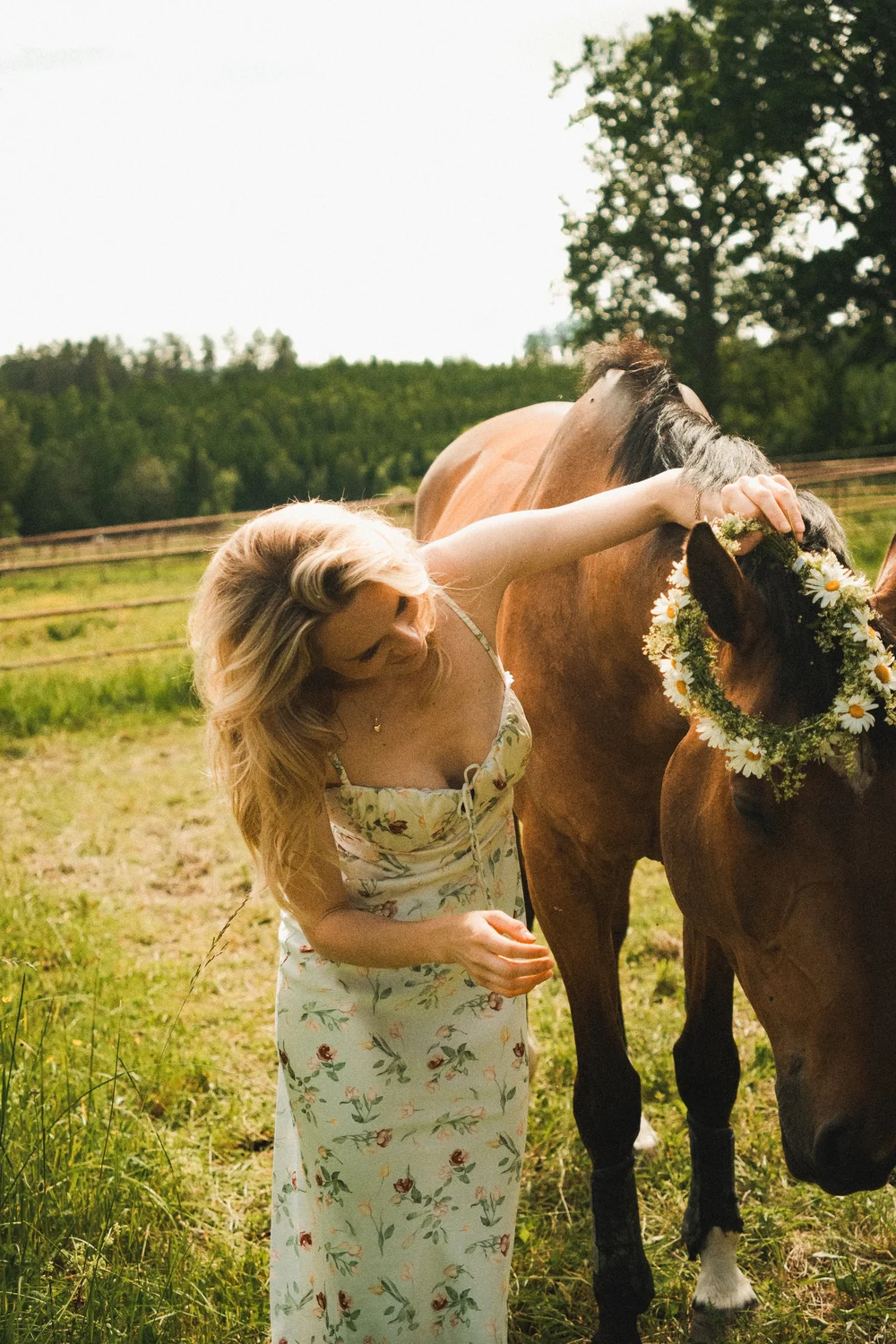 Fotografi ur Cowboy Visuals portfolio