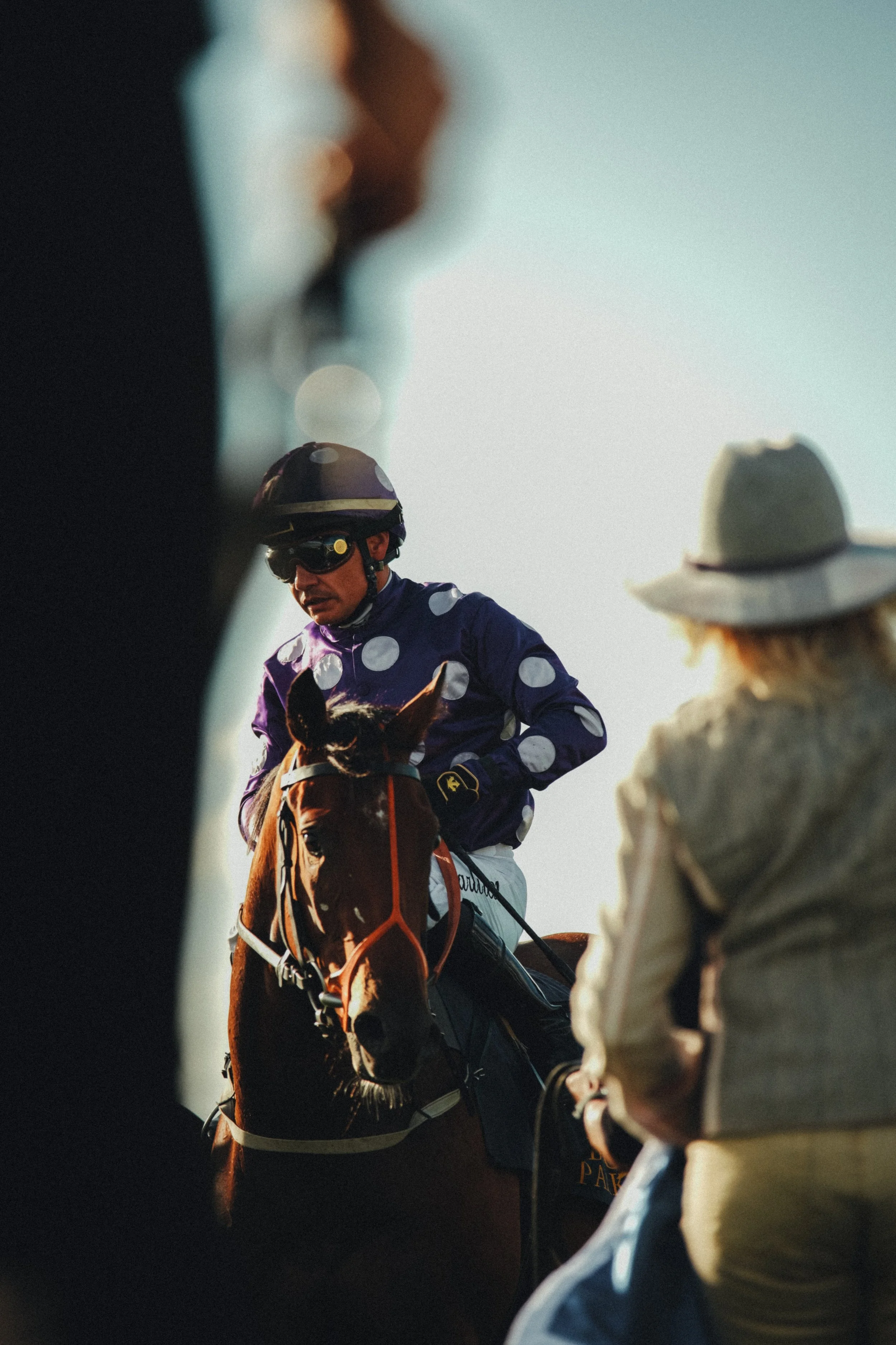 Övrigt | Jockey i stjärnmönstrad hjälm i samtal vid hästen