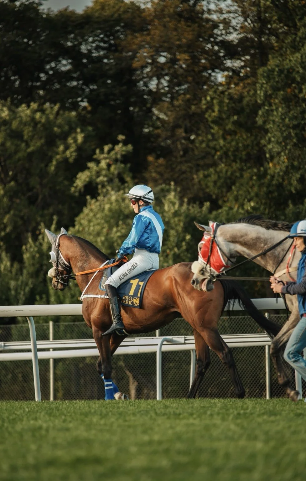 Sport | Galopphästar i full fart under Stockholm Cup