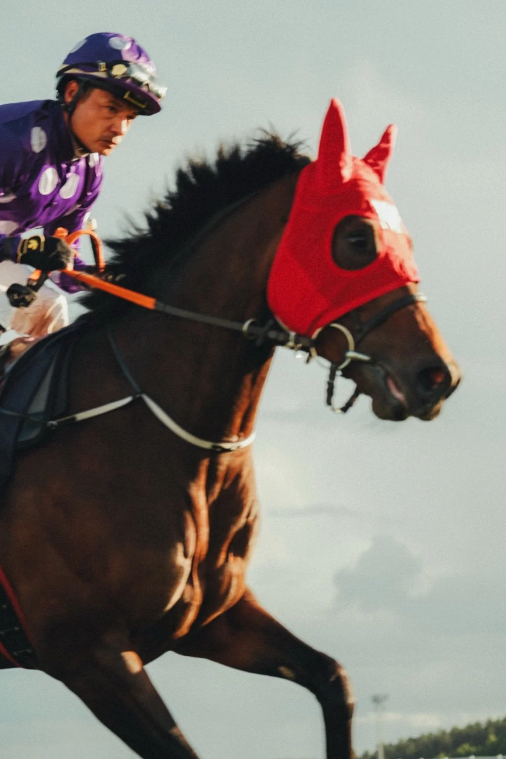 Sport | Jockey i lila dräkt på häst med röd huva