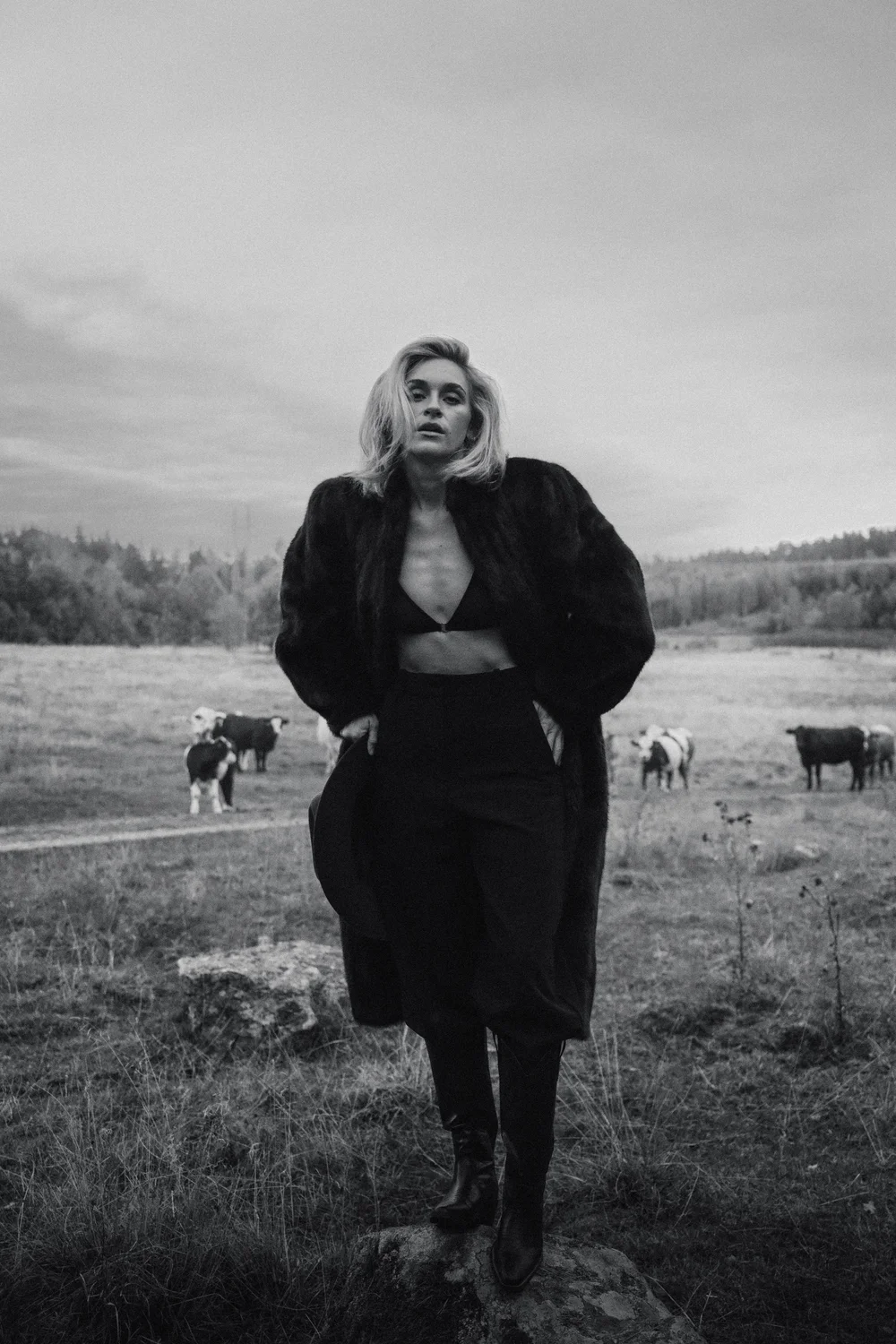 Fotografi ur Cowboy Visuals portfolio
