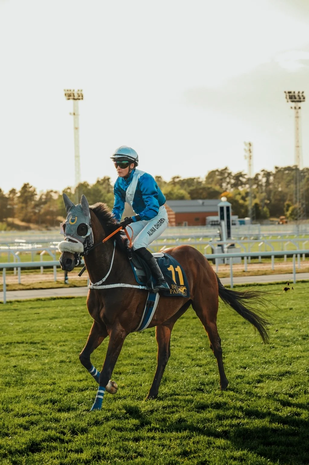Sport | Jockey i blå hjälm