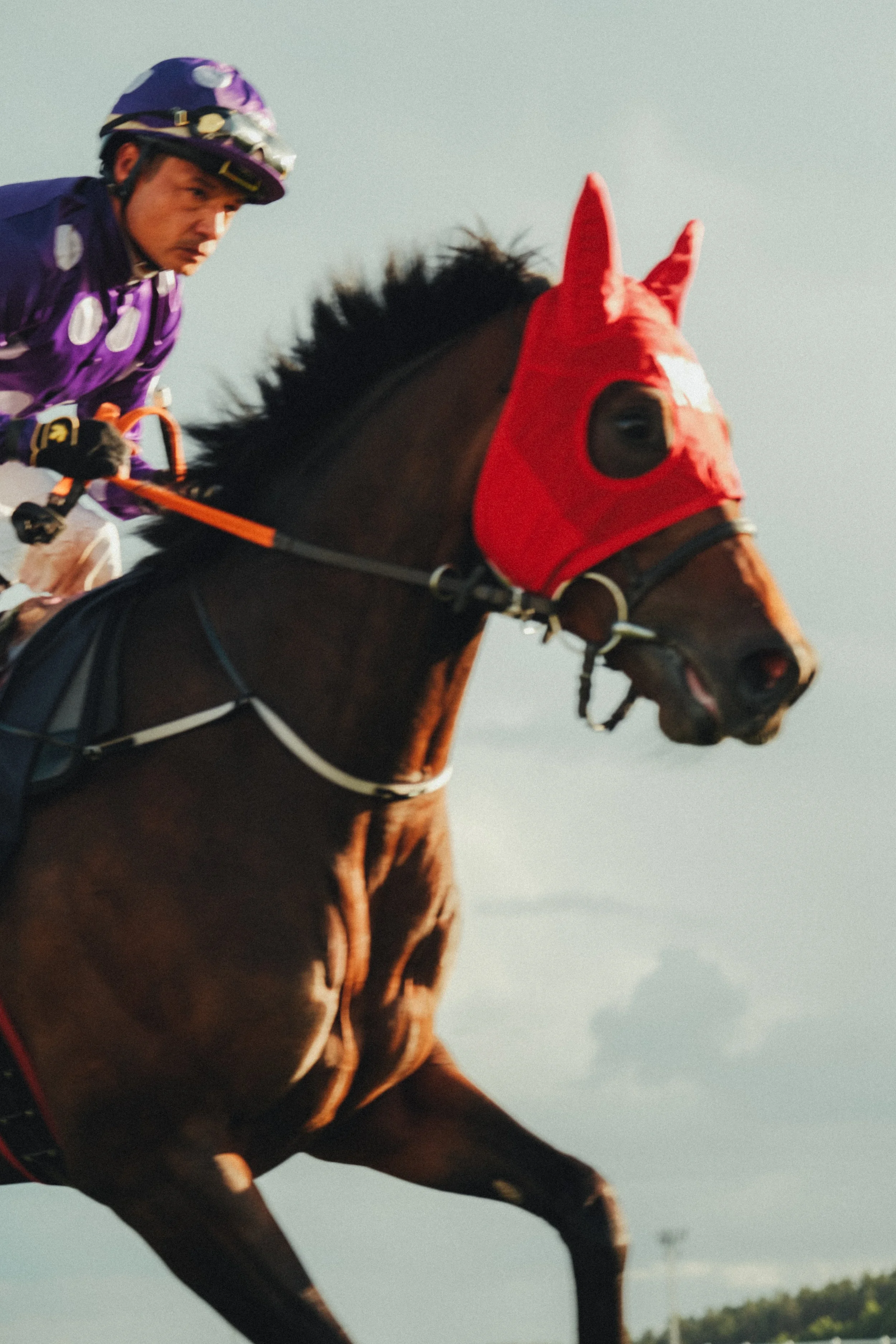 Övrigt | Jockey i lila tävlingsdräkt på häst med röd huva