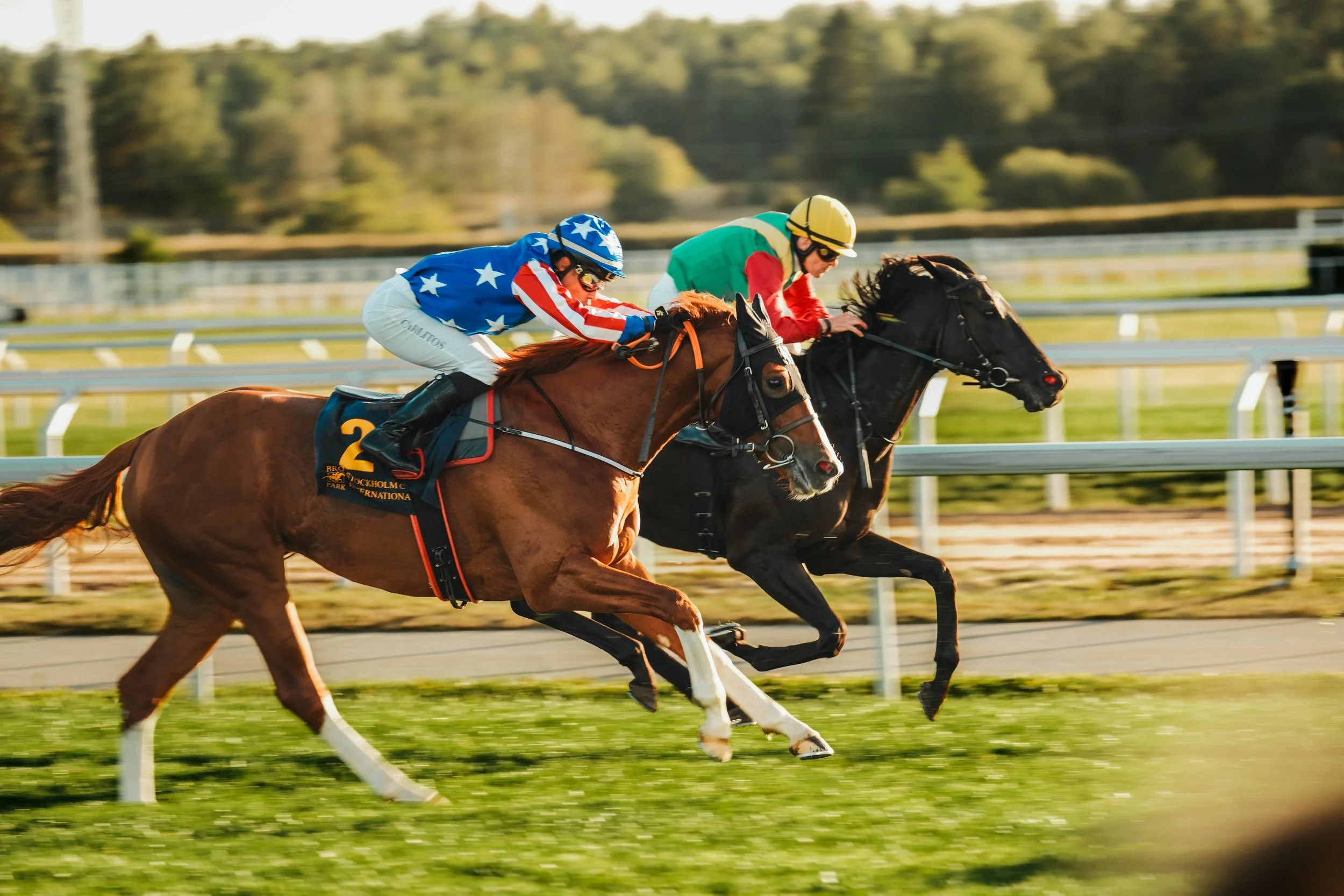 Övrigt | Jockeyer i blått och grönt tävlar sida vid sida
