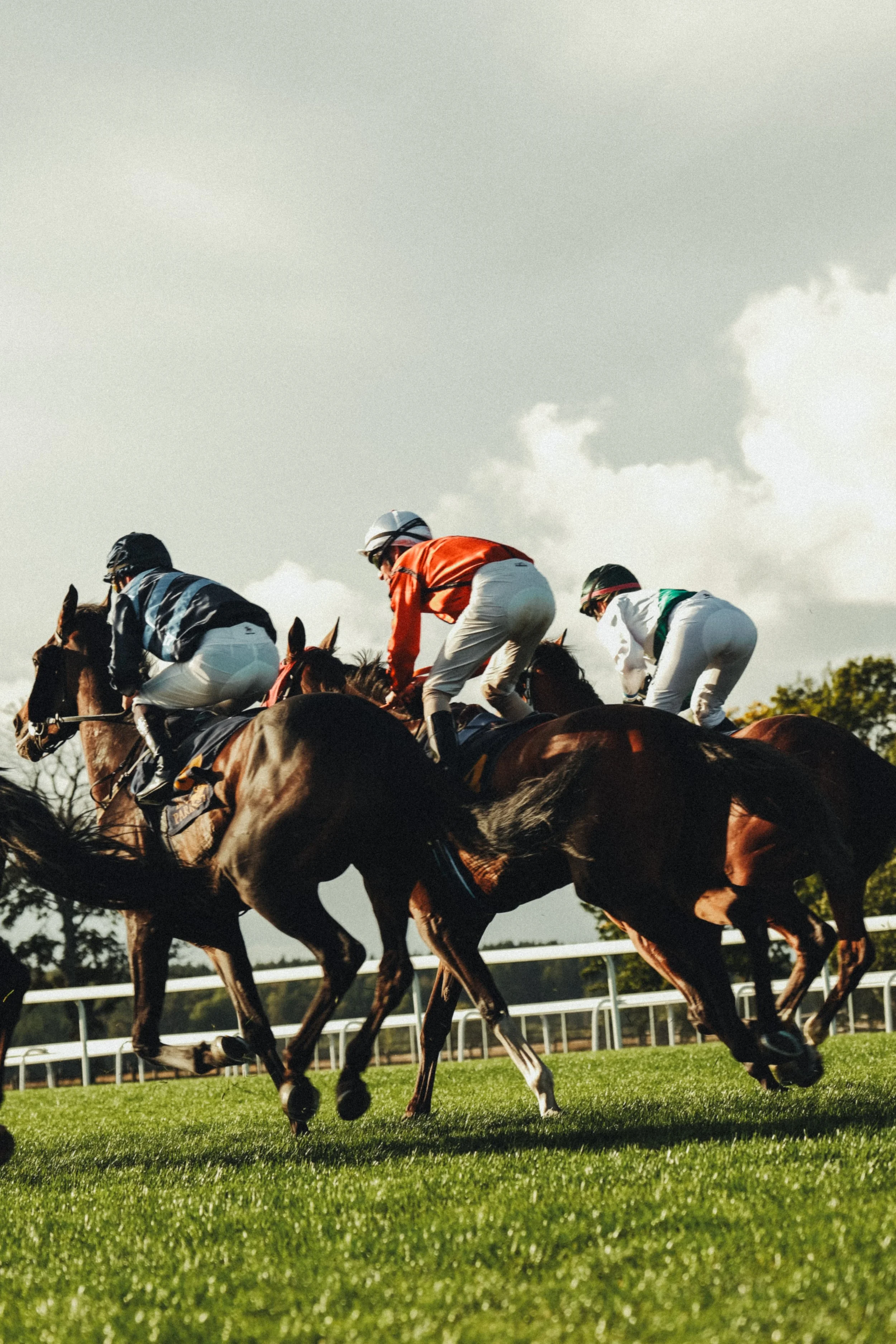 Övrigt | Galopphästar och jockeyer under lopp