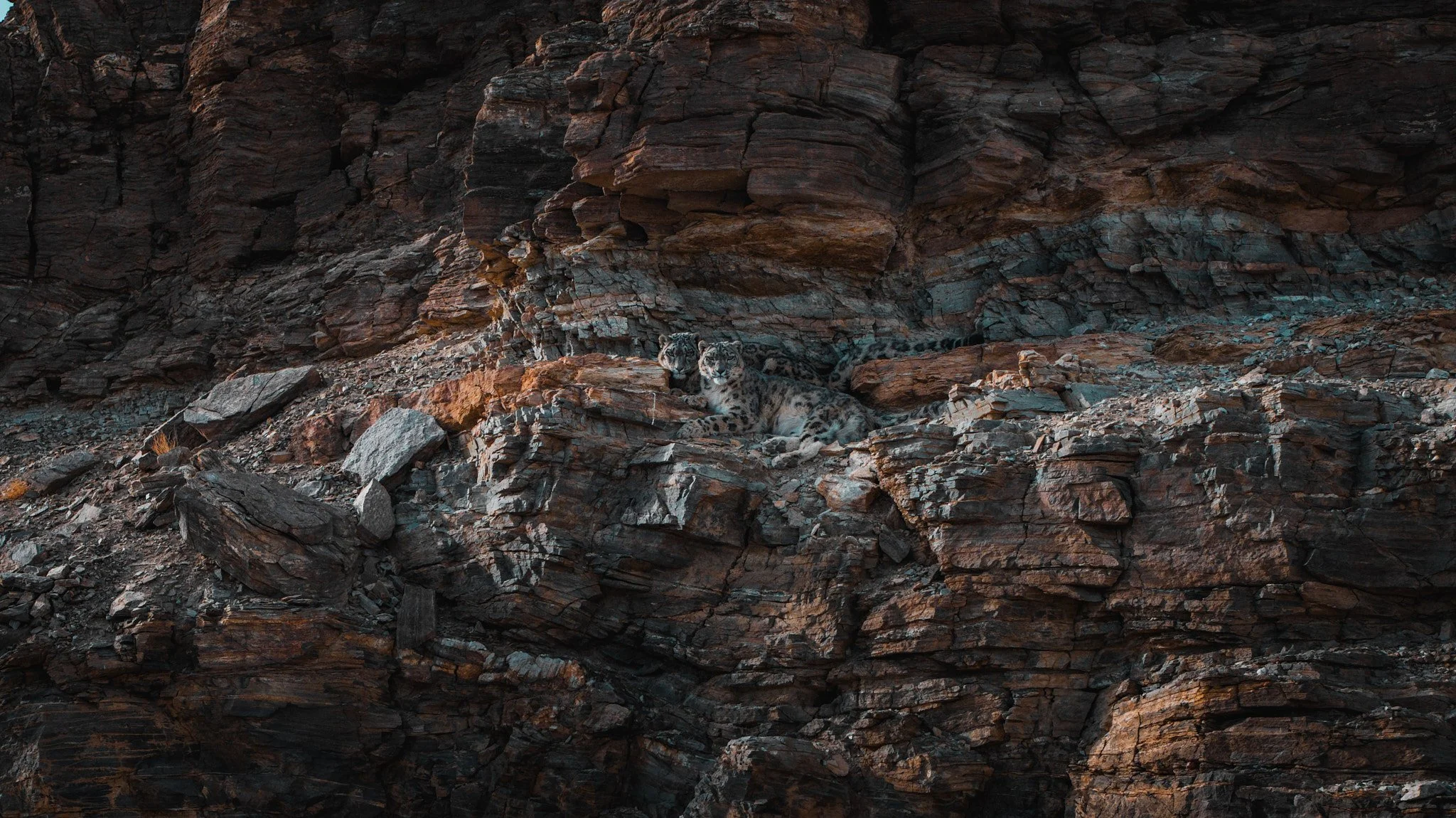 DJI_20241110151052_0026_D_AURICFILMS-Enhanced-SR.jpg