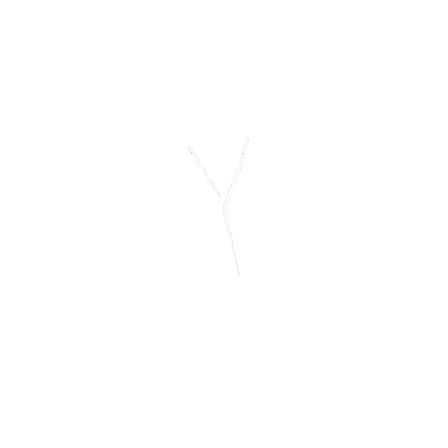 YNYSHIR | GARETH WARD