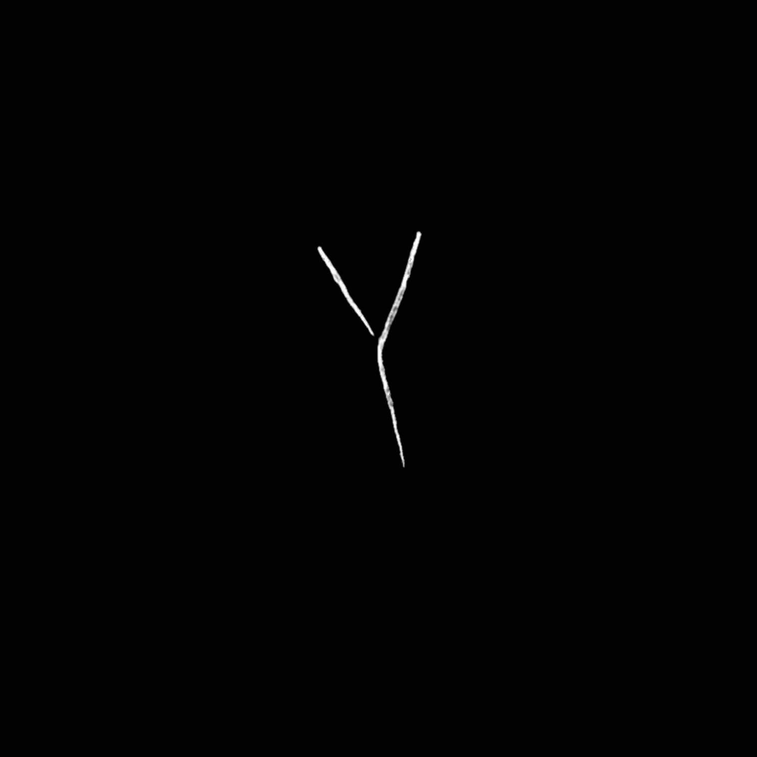 YNYSHIR | GARETH WARD