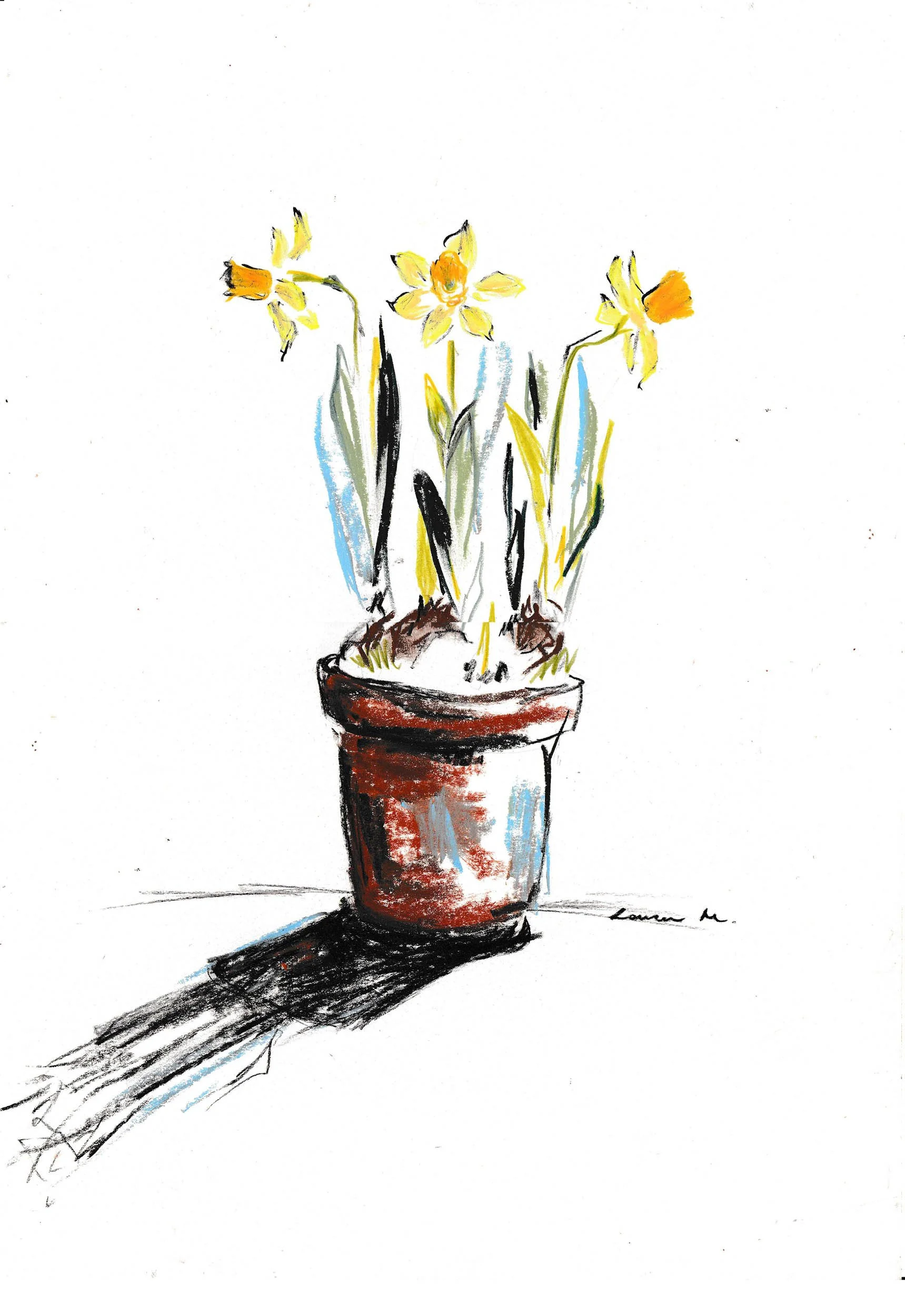 A sketch of a potted daffodil plant with three blooming flowers, captured in a minimalistic artistic style with black, yellow, and brown colors.