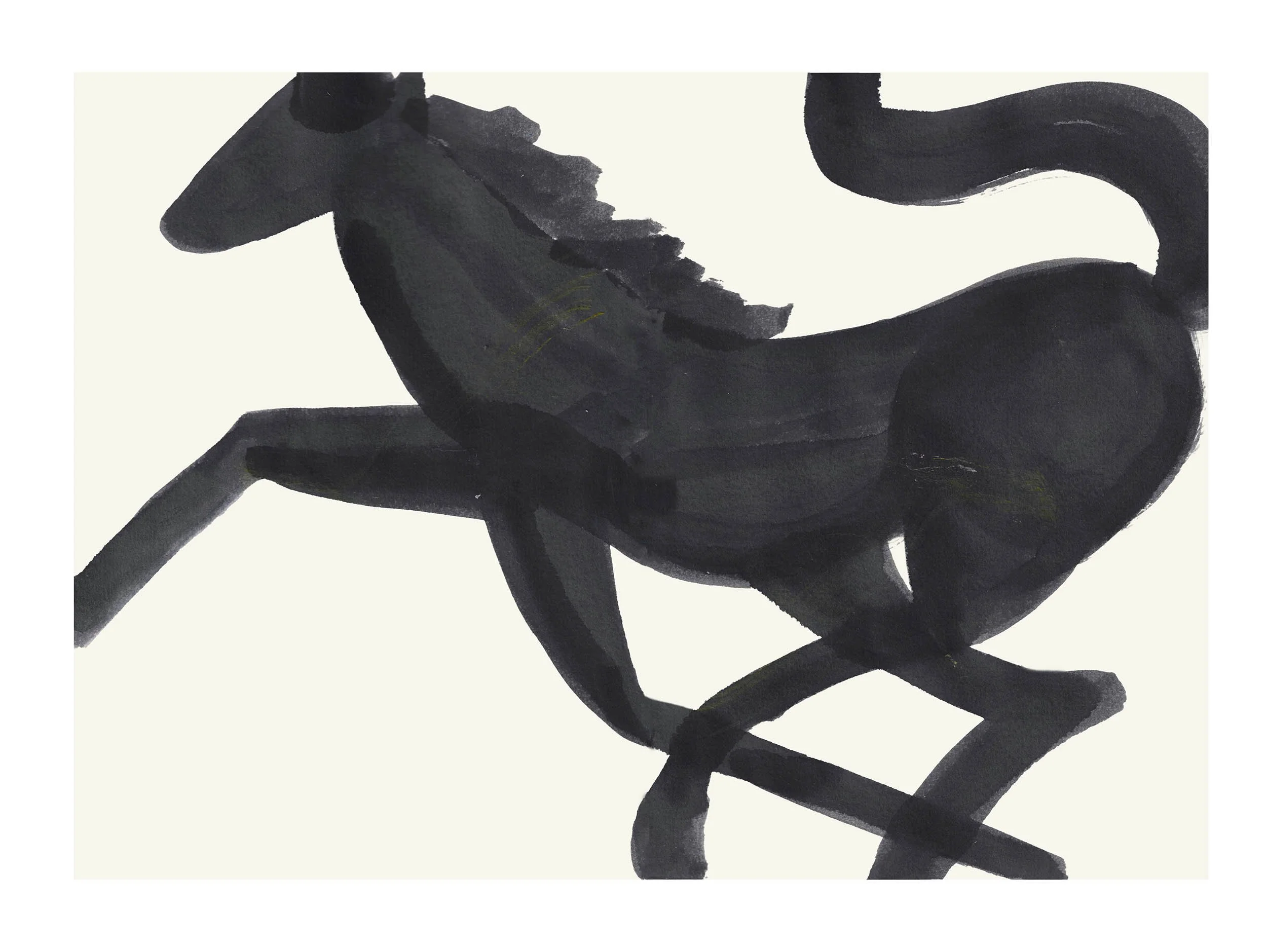 Animals_horses_black horse 1 copia.jpg
