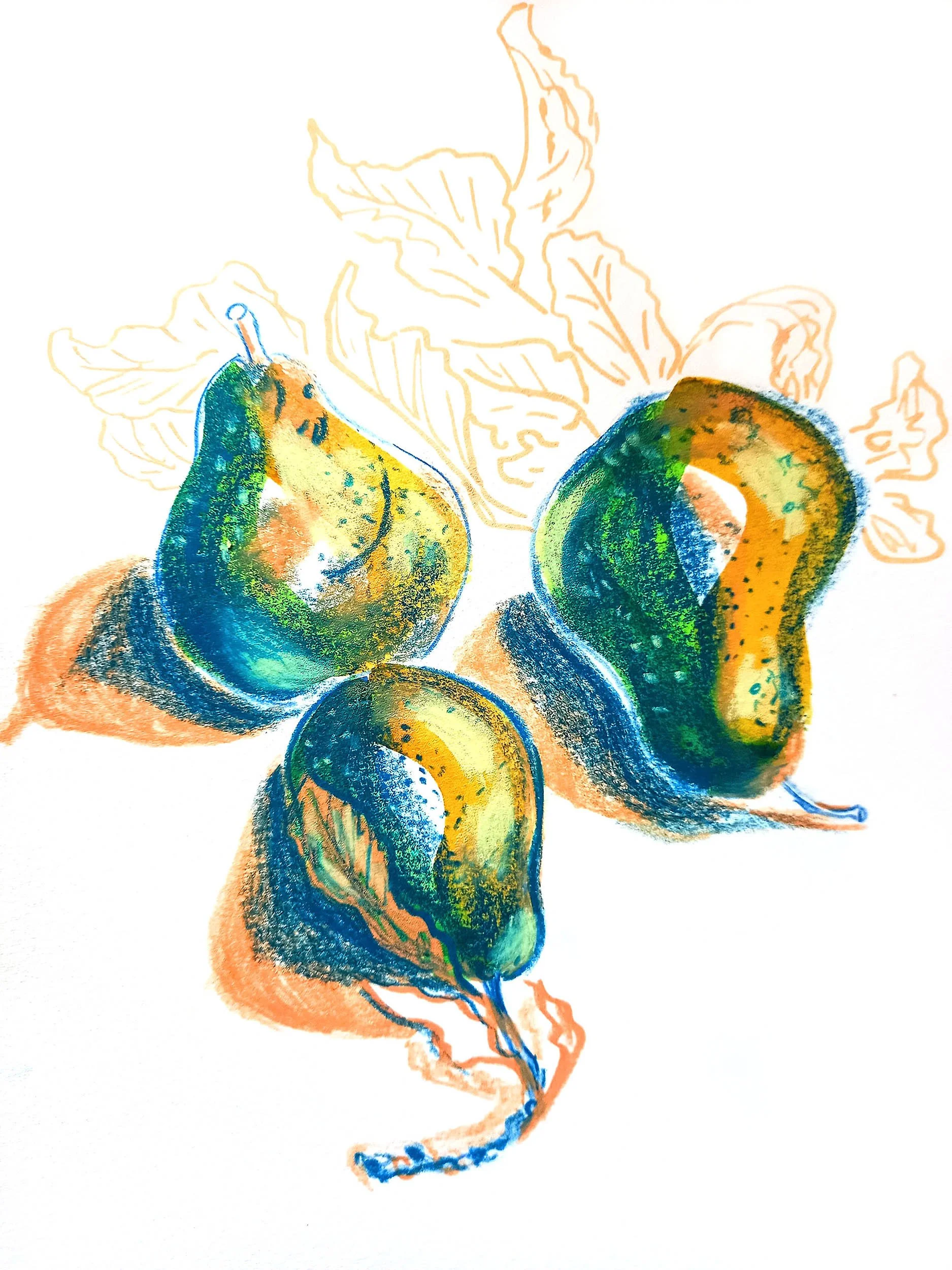 Colorful drawing of three pears and an outline of a leaf in the background.