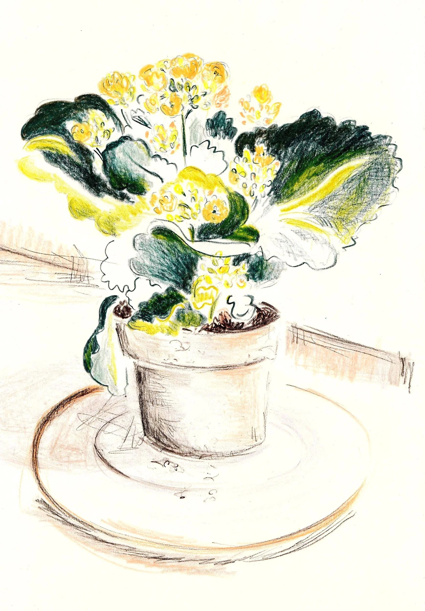 Colorful sketch of a potted plant with yellow flowers and dark green leaves on a table.
