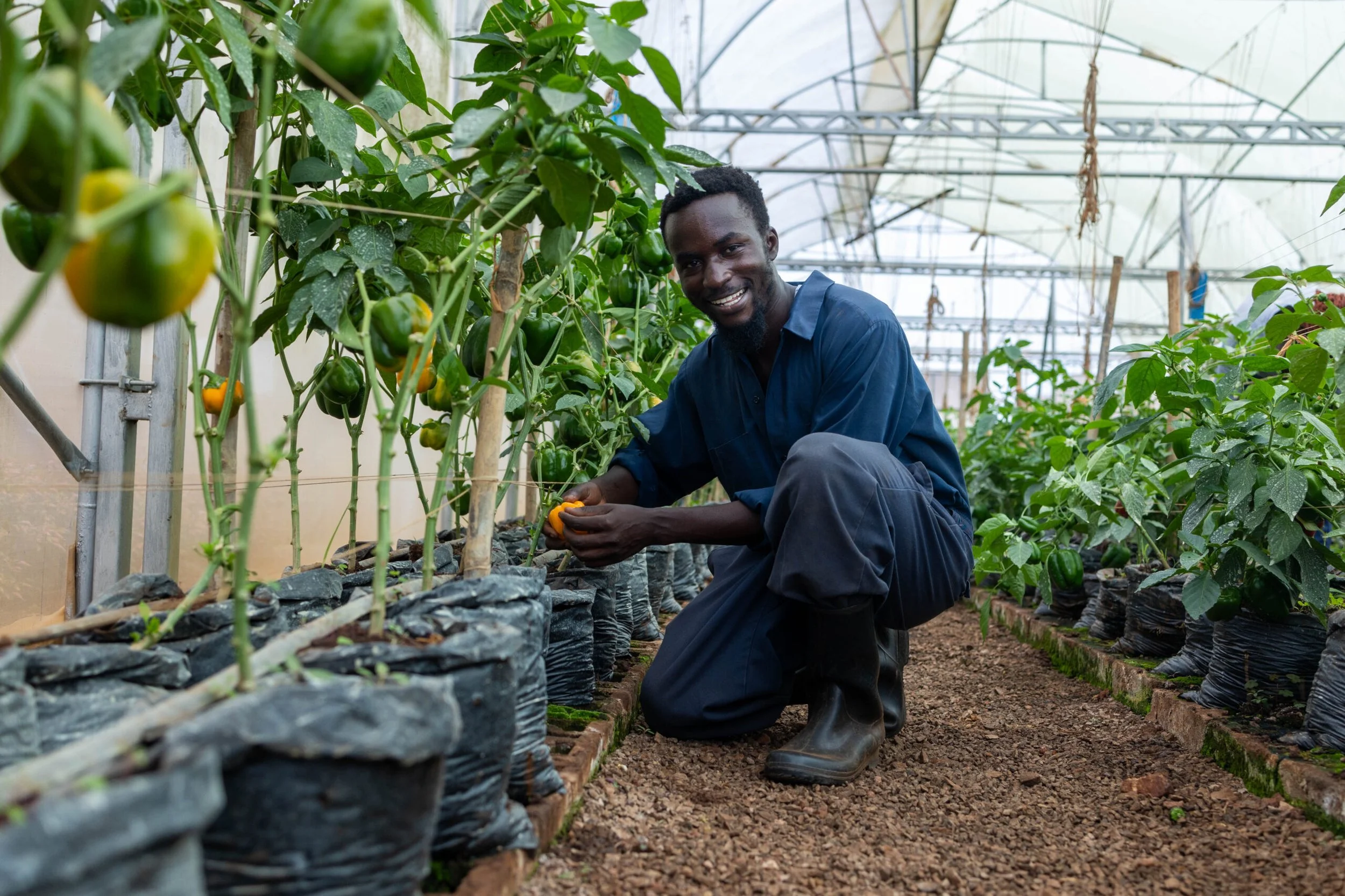 Agriculture & agribusiness