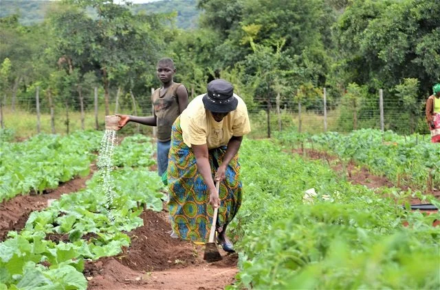 agriculture 2.jpg