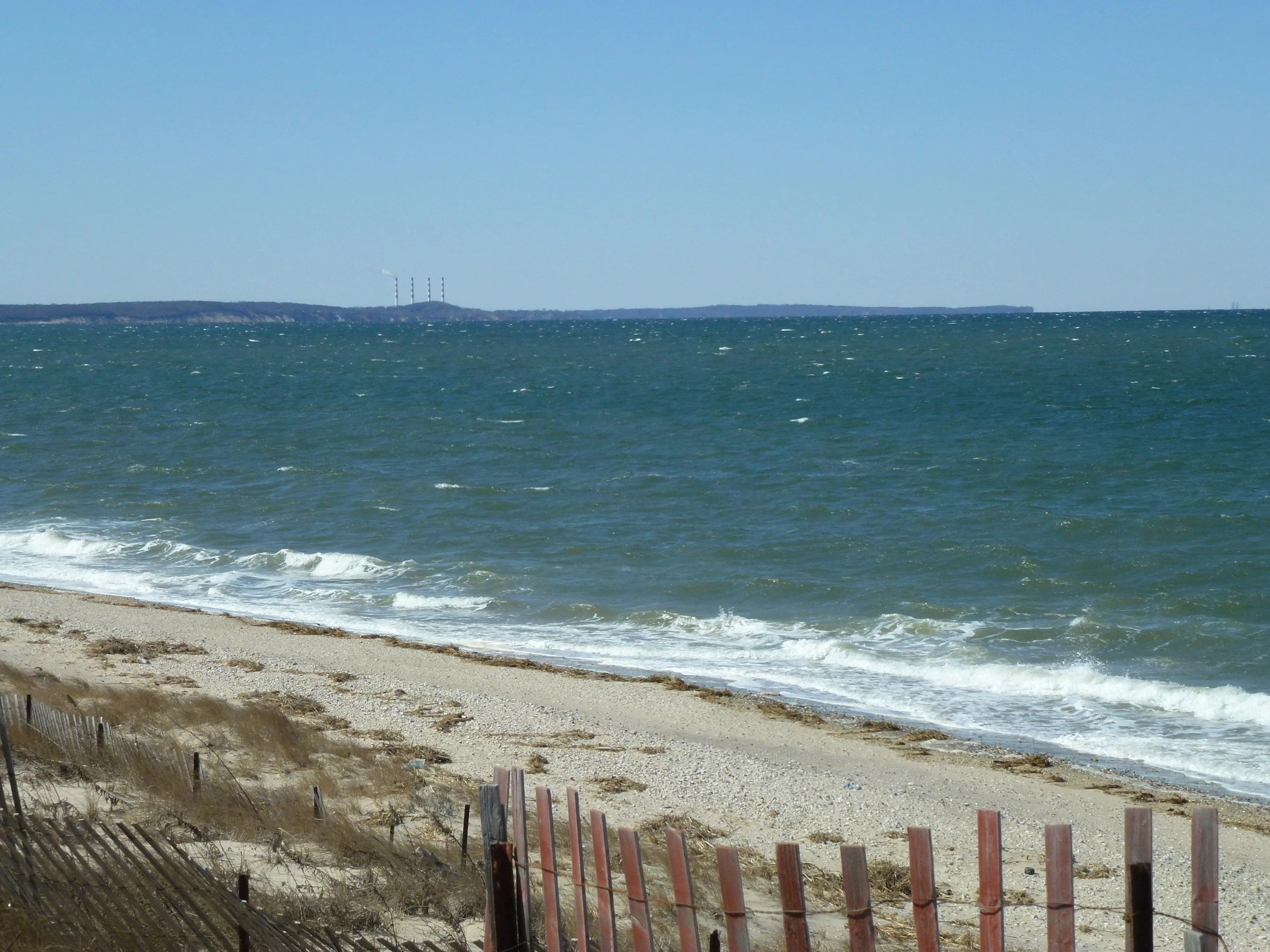 THE HAMPTONS