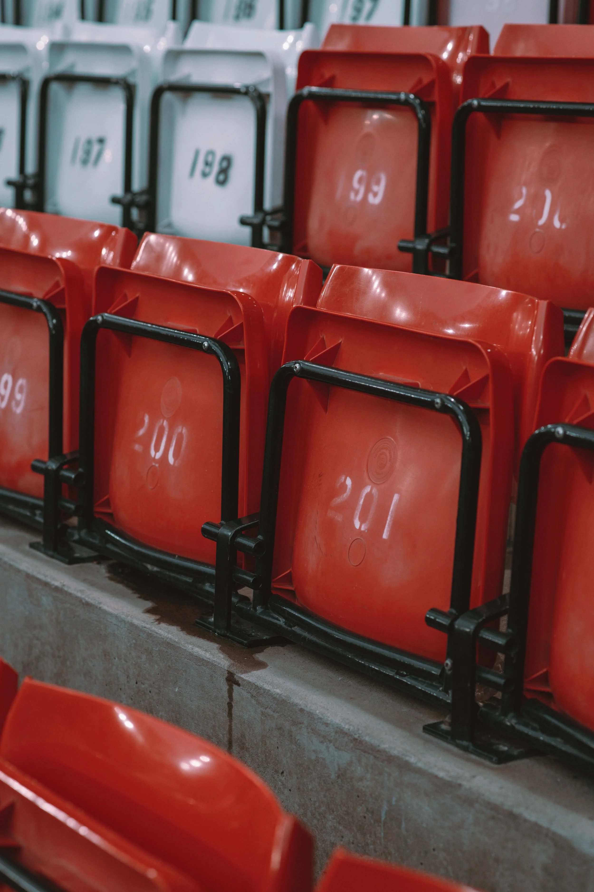 LFC-3512.jpg