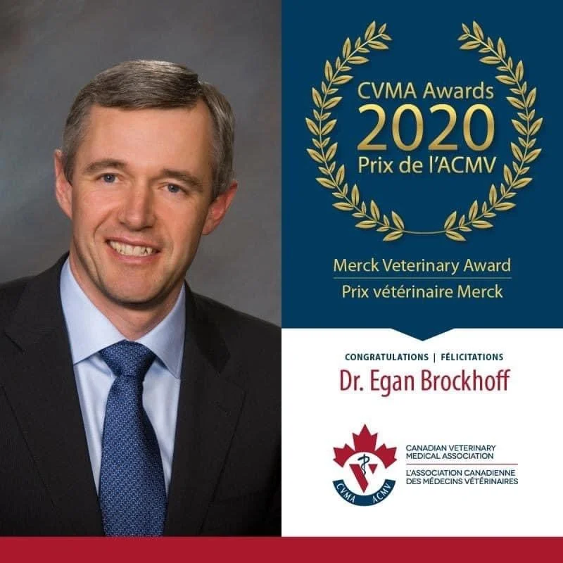 Dr. Egan Brockhoff of Prairie Swine Health Services named Food Animal Veterinarian of the Year