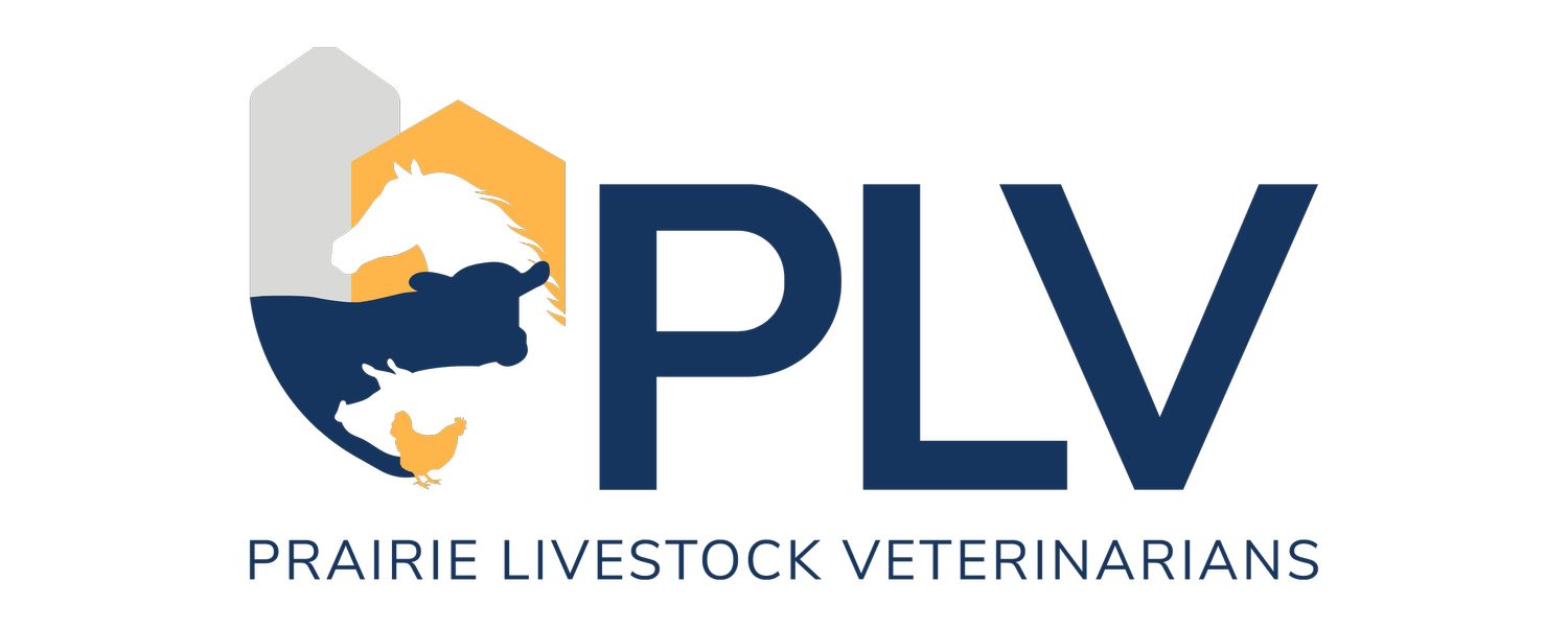 Prairie Livestock Veterinarians