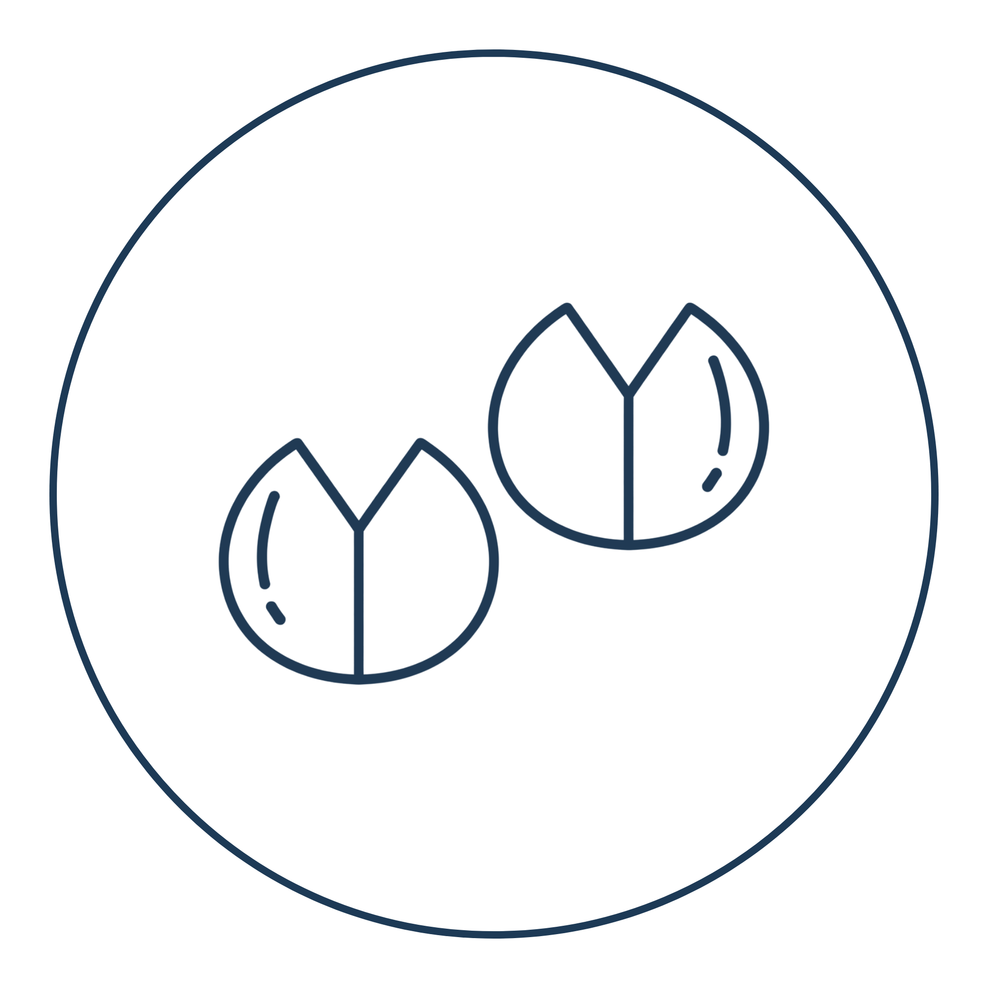 PLV Animal Health Integrity icon representing ethical veterinary medicine and honest producer relationships across Alberta and Saskatchewan.