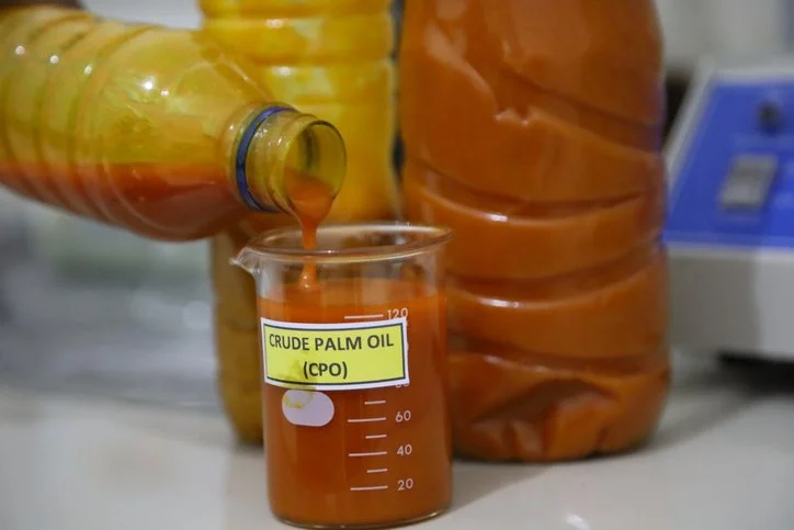 Crude Palm Oil (conventional)