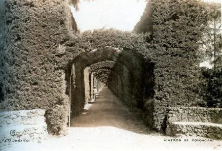 viveros 1930.jpg