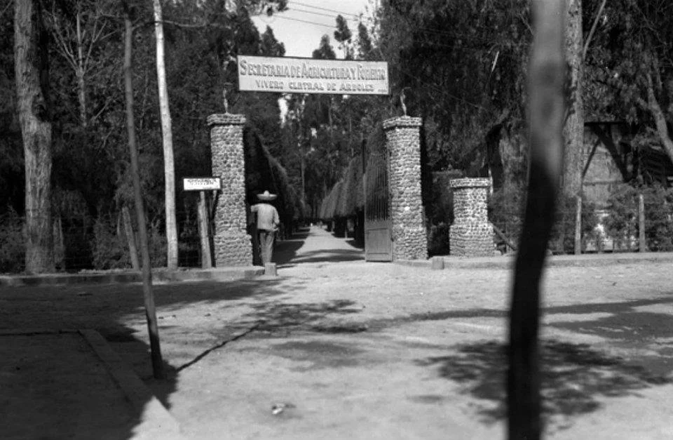 viveros.jpg