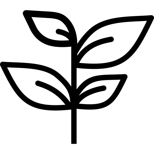 Black square image with no visible content