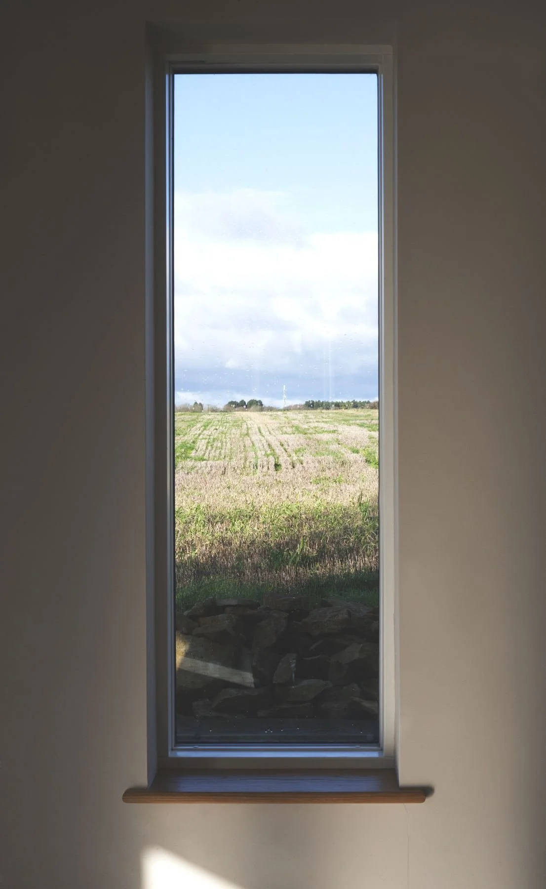silver-birches-tall-window-view-over-fields.jpg