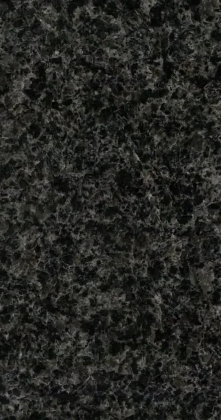 Close-up of a black and gray granite surface with a speckled pattern.