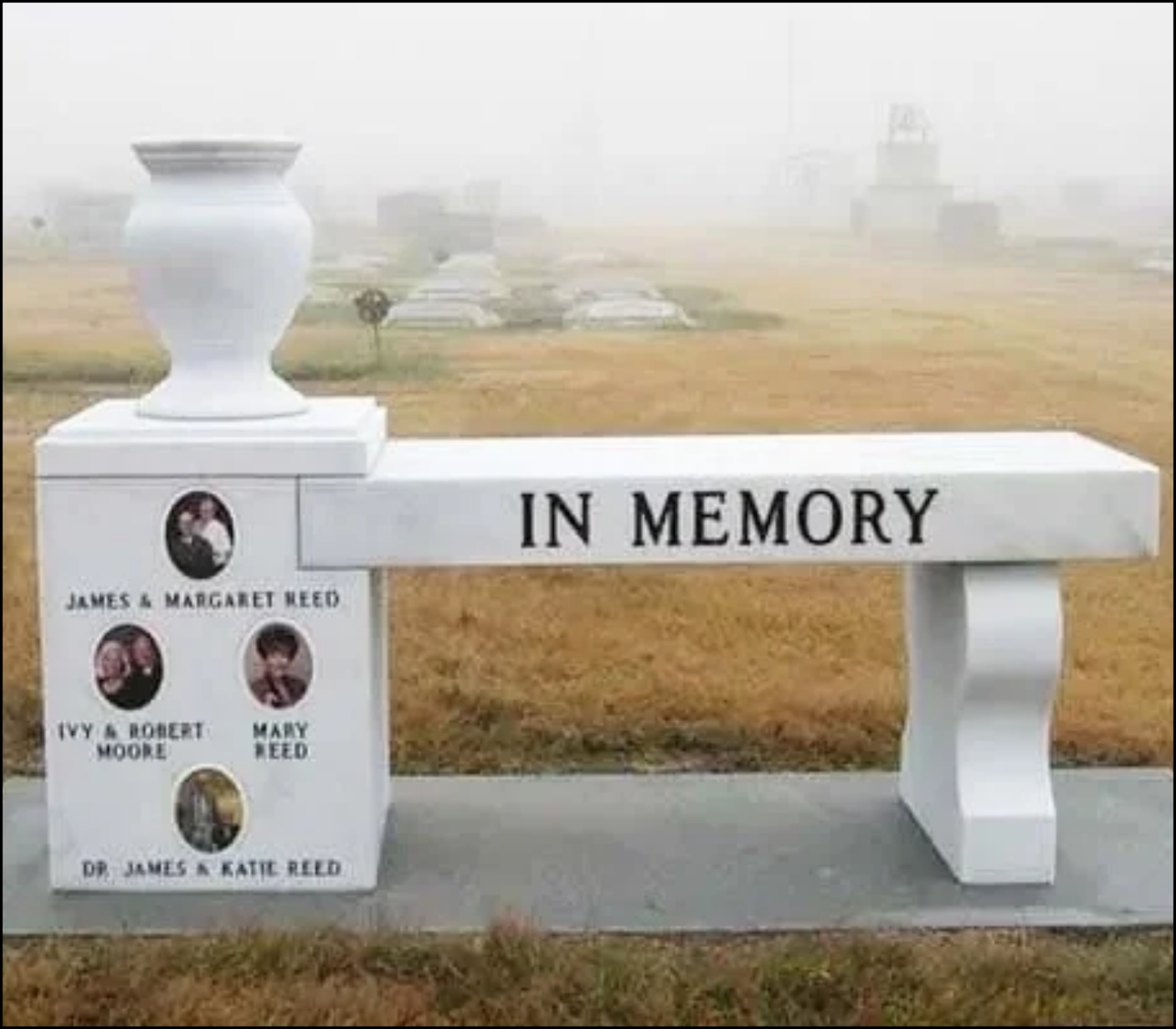 A white memorial bench with the words 'IN MEMORY' on the seat. The side panel features photographs and names of the Reed family, including James & Margaret Reed, Ivy & Robert Moore, Mary Reed, and Dr. James & Katie Reed, amid foggy weather in a park or open area.