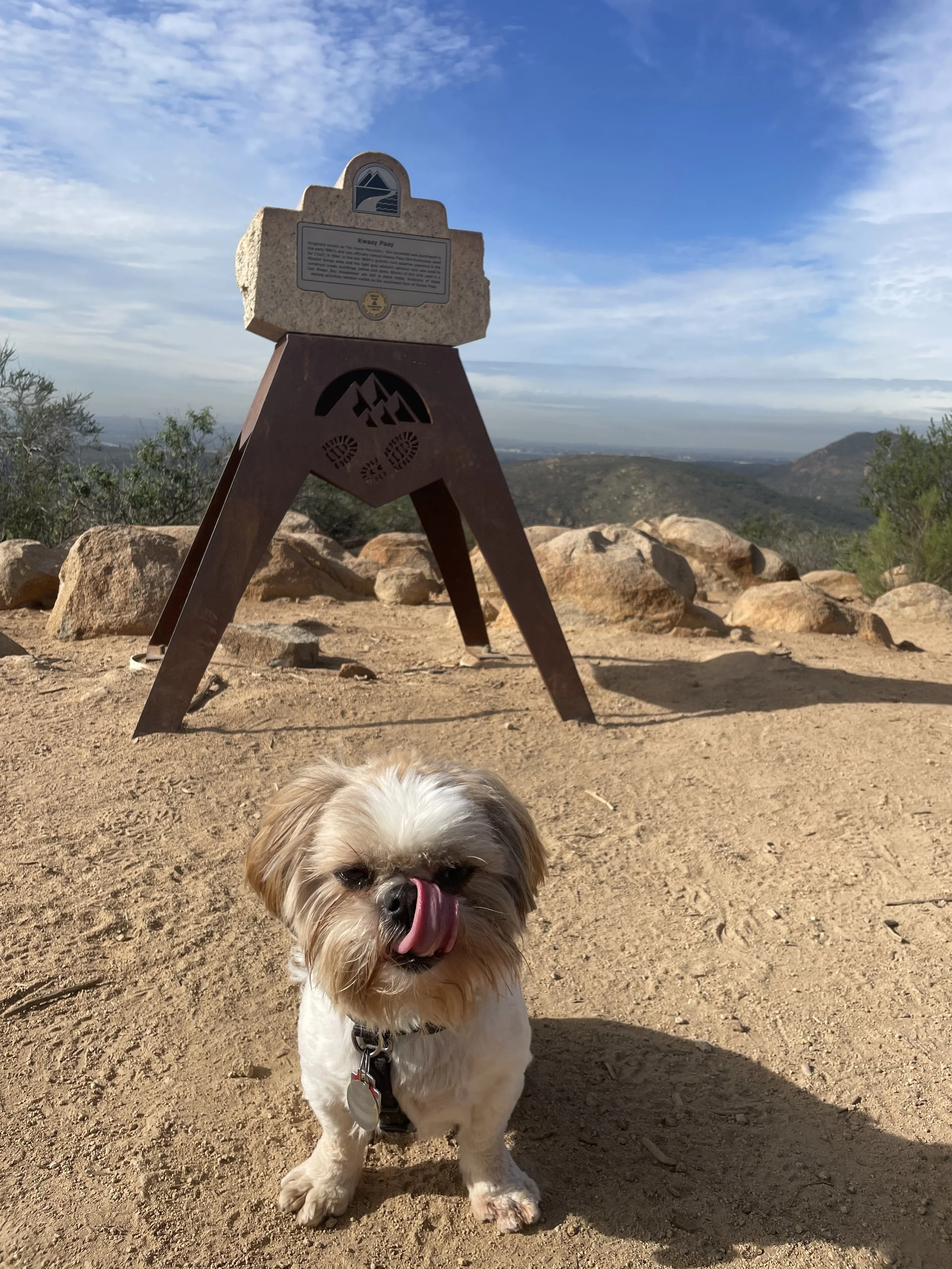 A small dog with light-colored fur and a darker face, licking its nose, standing on a dirt trail in a mountainous area with rocks, shrubbery, and a blue sky with some clouds.