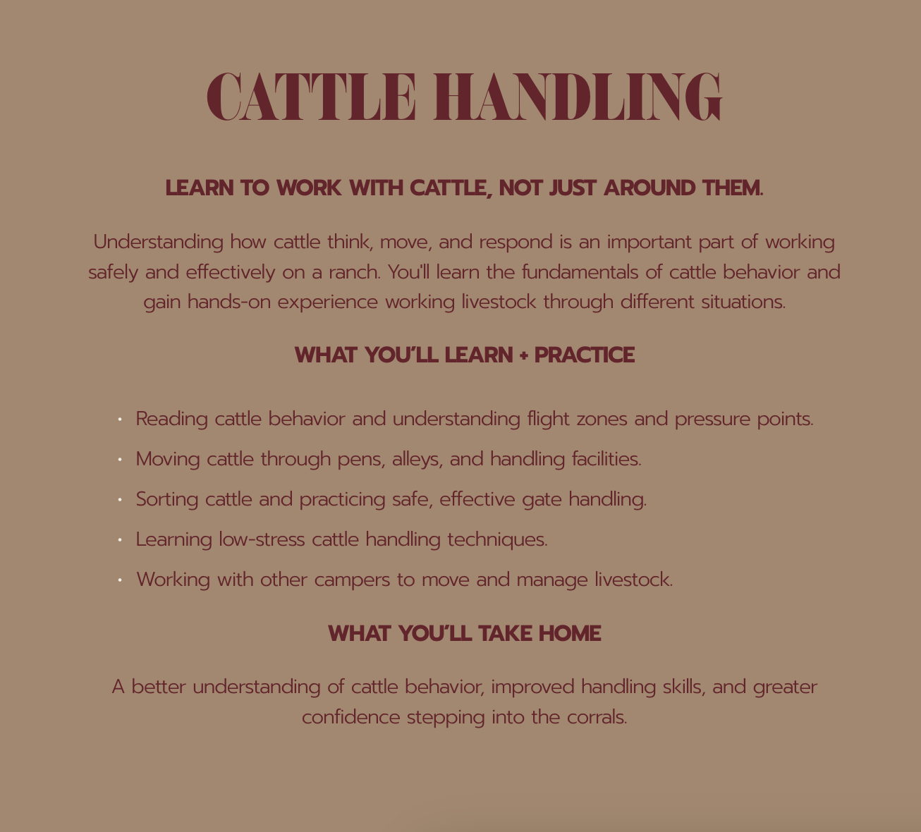 Cattle handling training poster outlining livestock behavior, low-stress handling techniques, and ranch skills.