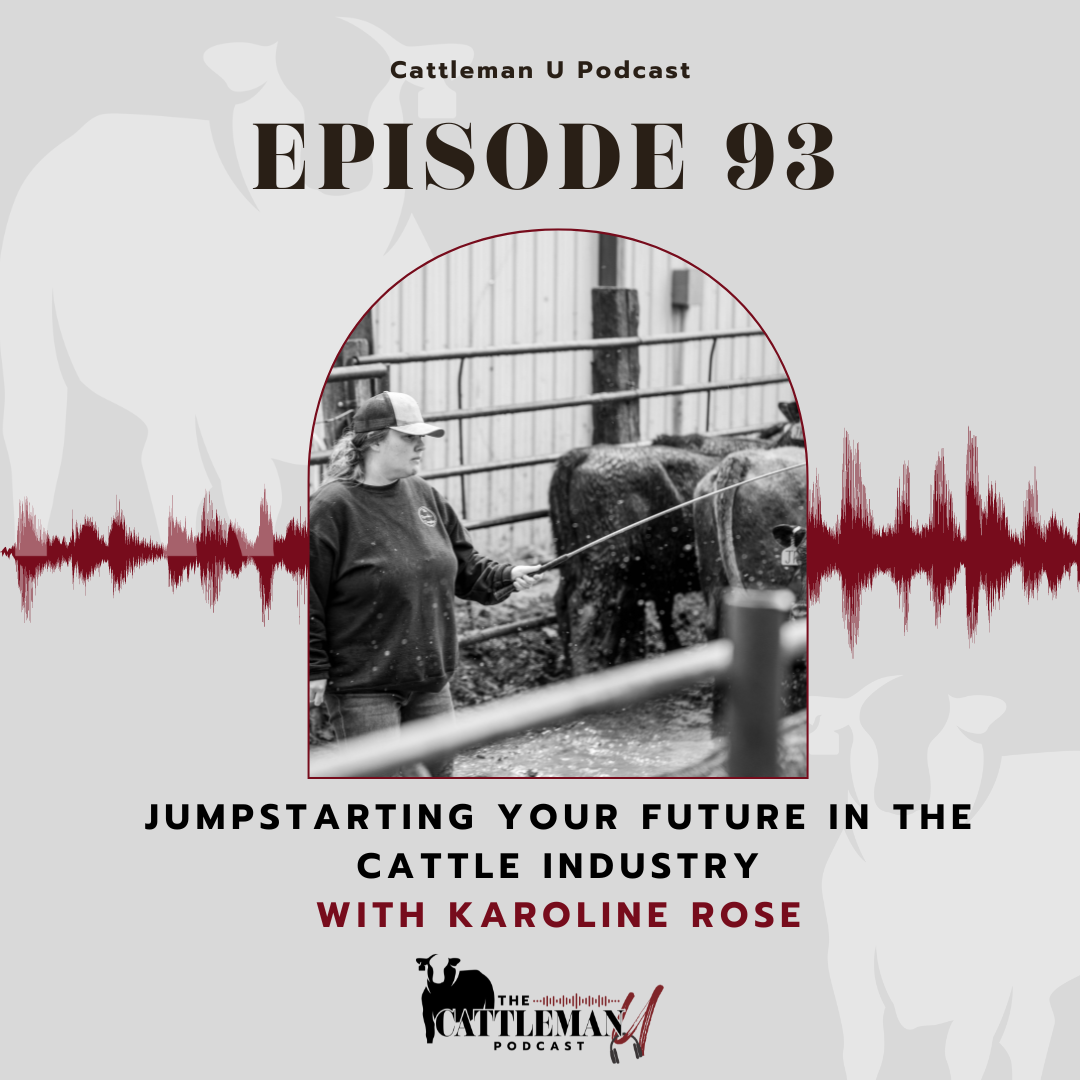 Cattleman U Podcast Episode 93 graphic featuring Karoline Rose working with cattle and the title “Jumpstarting Your Future in the Cattle Industry.”