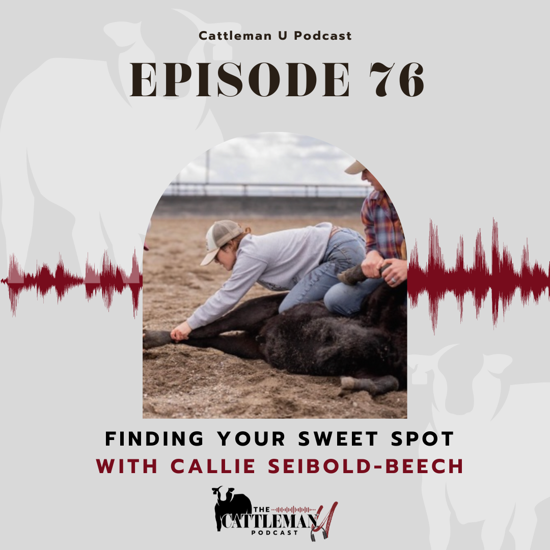 Cattleman U Podcast Episode 76 cover featuring two people working with cattle and the title "Finding Your Sweet Spot with Callie Seibold-Beech."