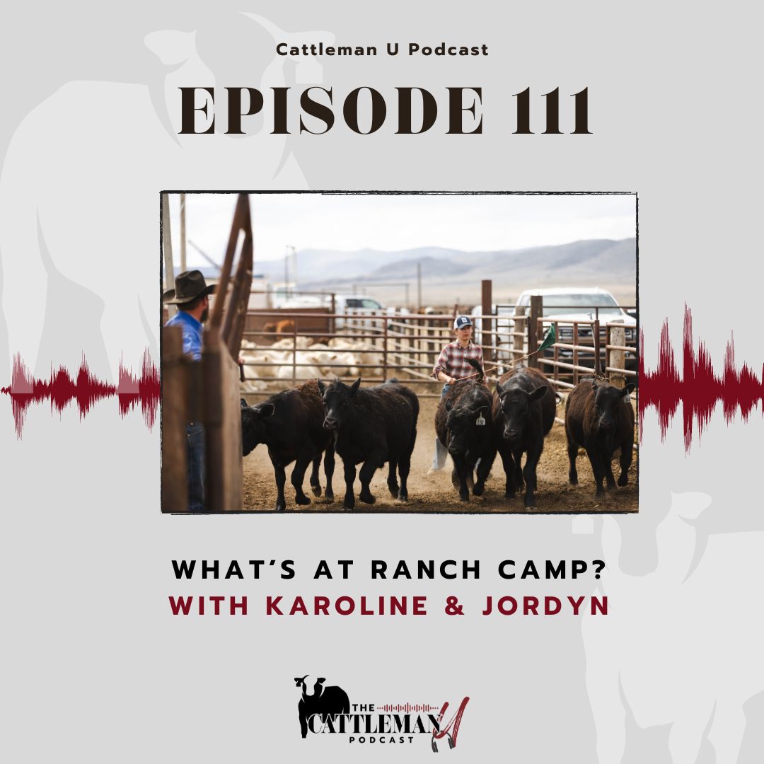 Cattleman U Podcast Episode 111 graphic featuring ranch workers herding cattle and text, “What’s at Ranch Camp? With Karoline & Jordyn.”