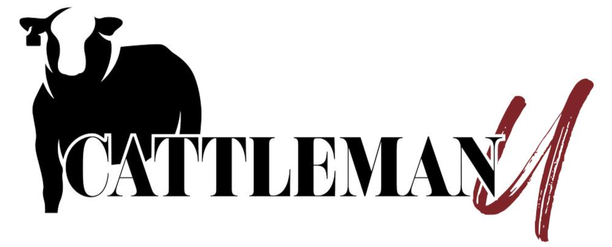 Cat silhouette beside the word “CATTLEN” and a red abstract brushstroke logo