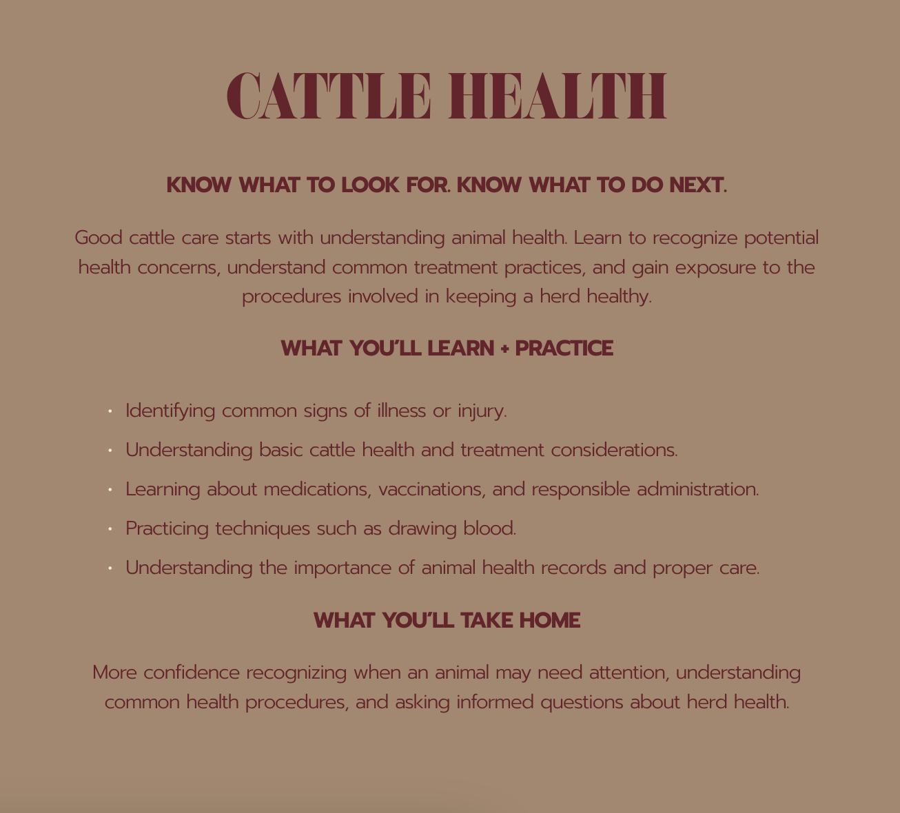 Cattle health educational infographic outlining signs of illness, treatment, medications, vaccinations, blood drawing, and herd health care.