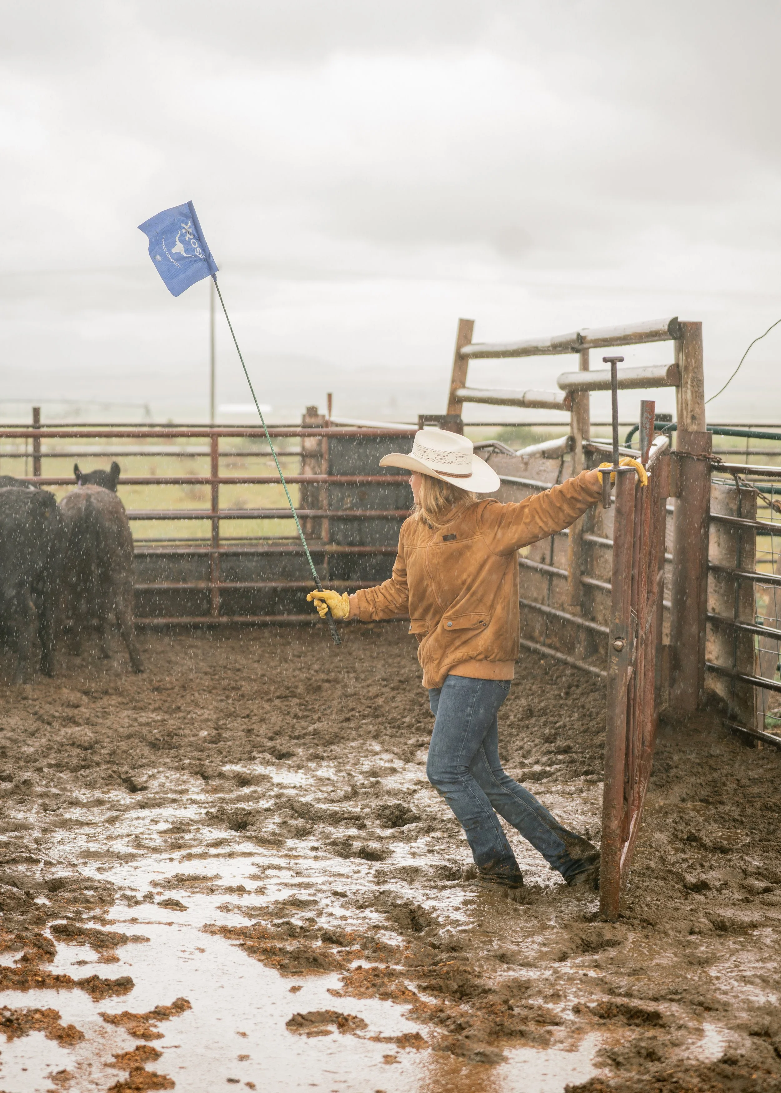 Rancher in a cowboy hat herding cattle in a muddy livestock pen during rain