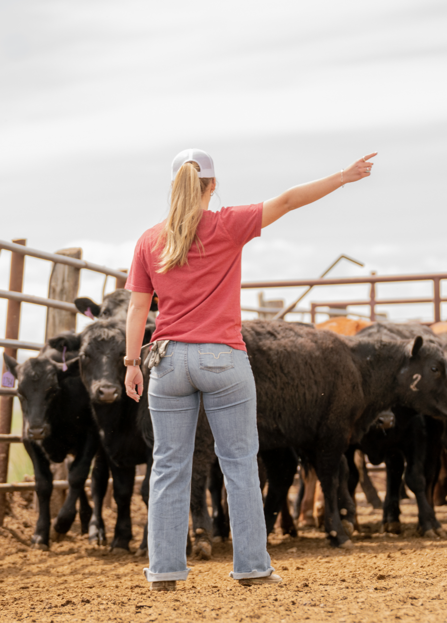 Woman in a red shirt and baseball cap herding cattle