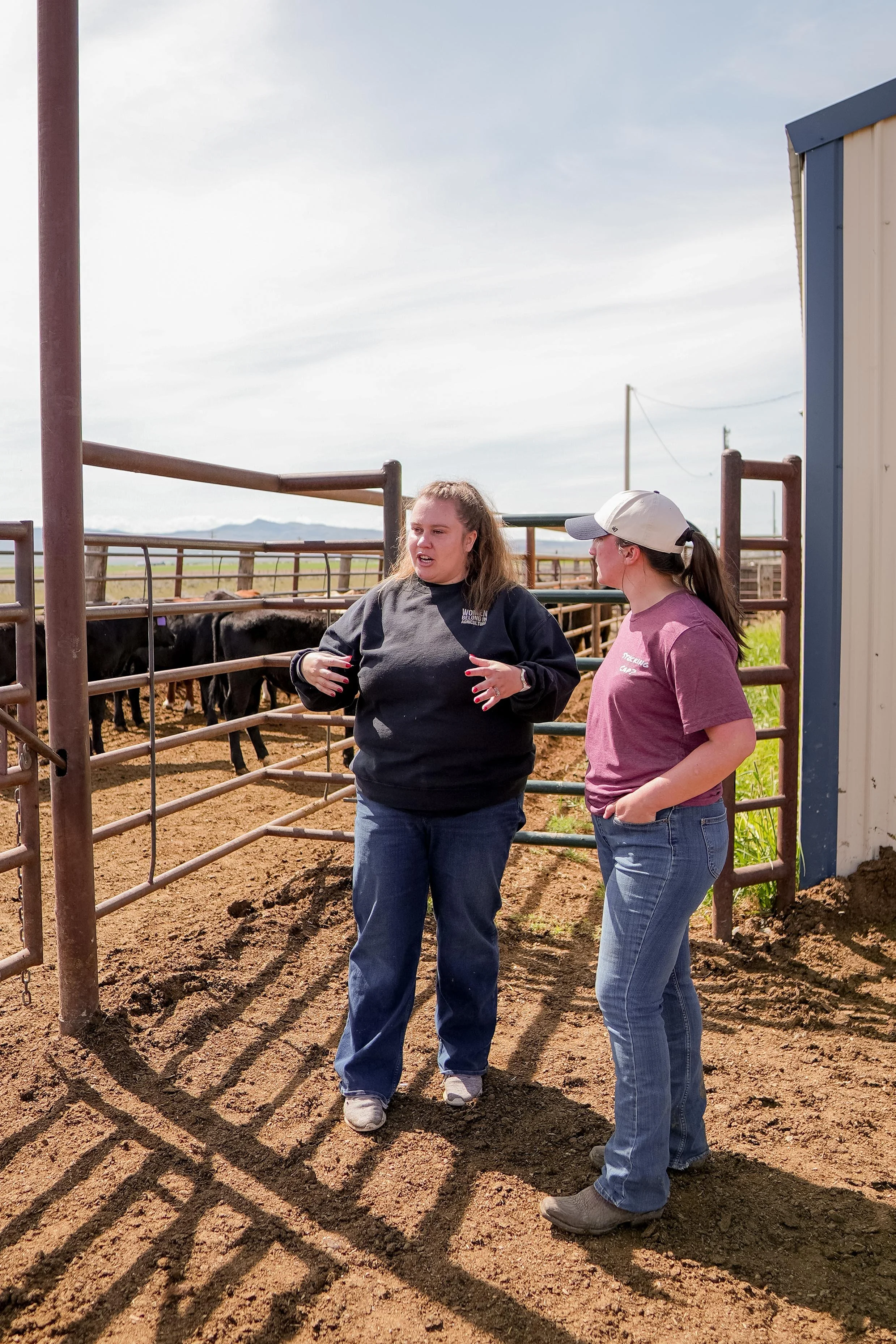 Two women learning beside cattle in a fenced livestock pen at a farm.