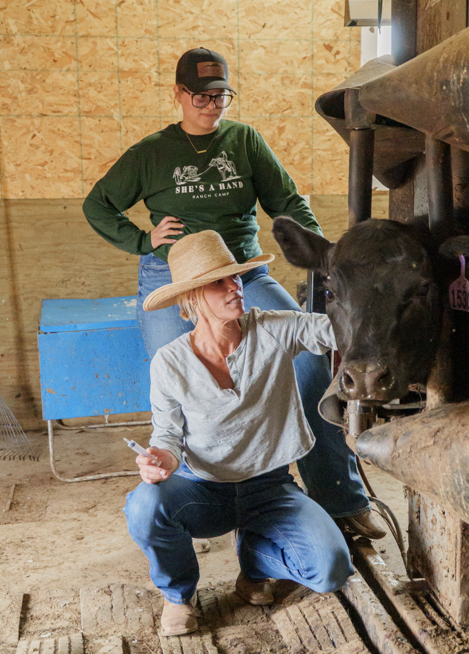 Two women examine and vaccinate a black cow in a wooden barn, with one woman kneeling beside the animal.