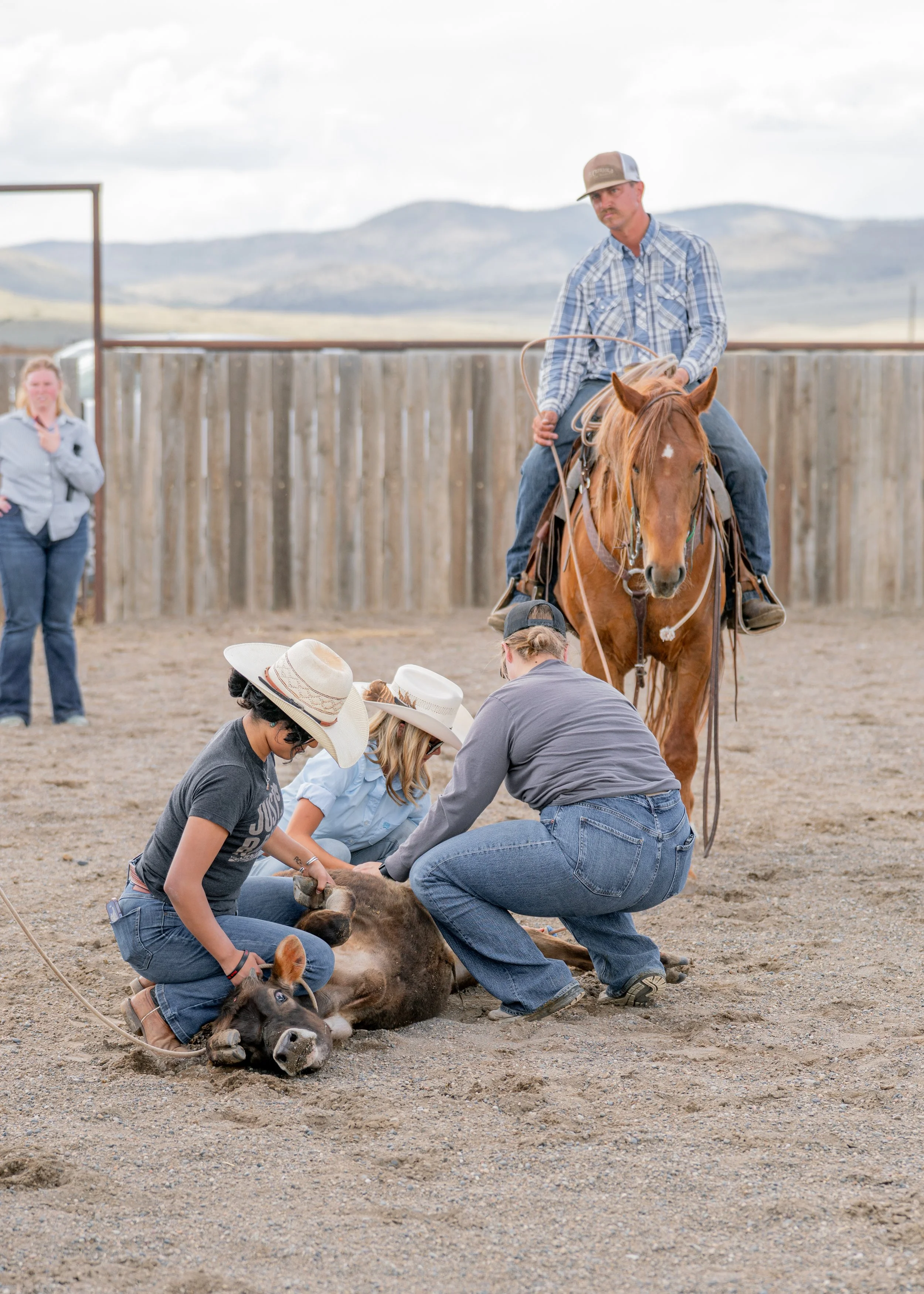 women learning to rope cattle at ranch camp