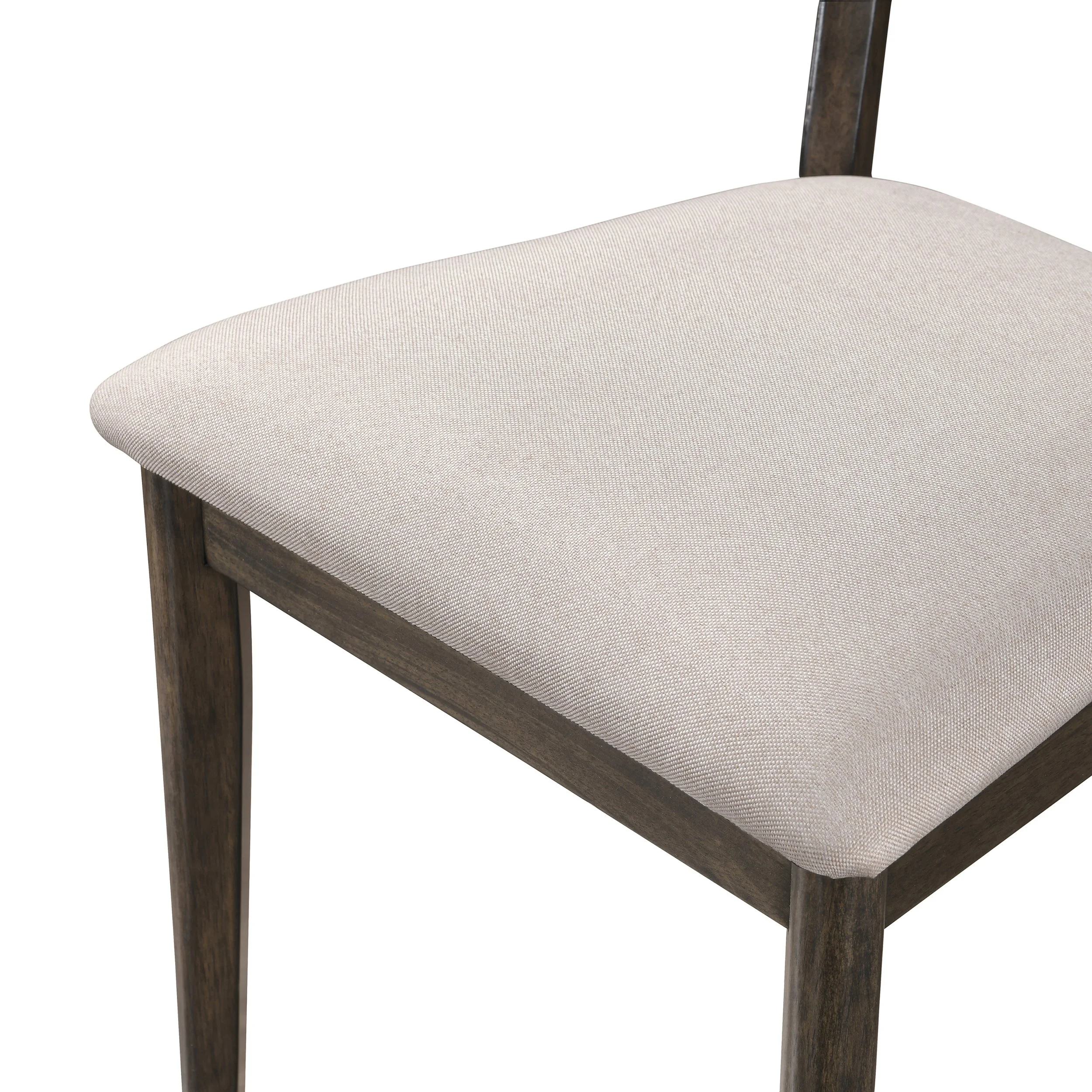 rex rnd 11.jpg