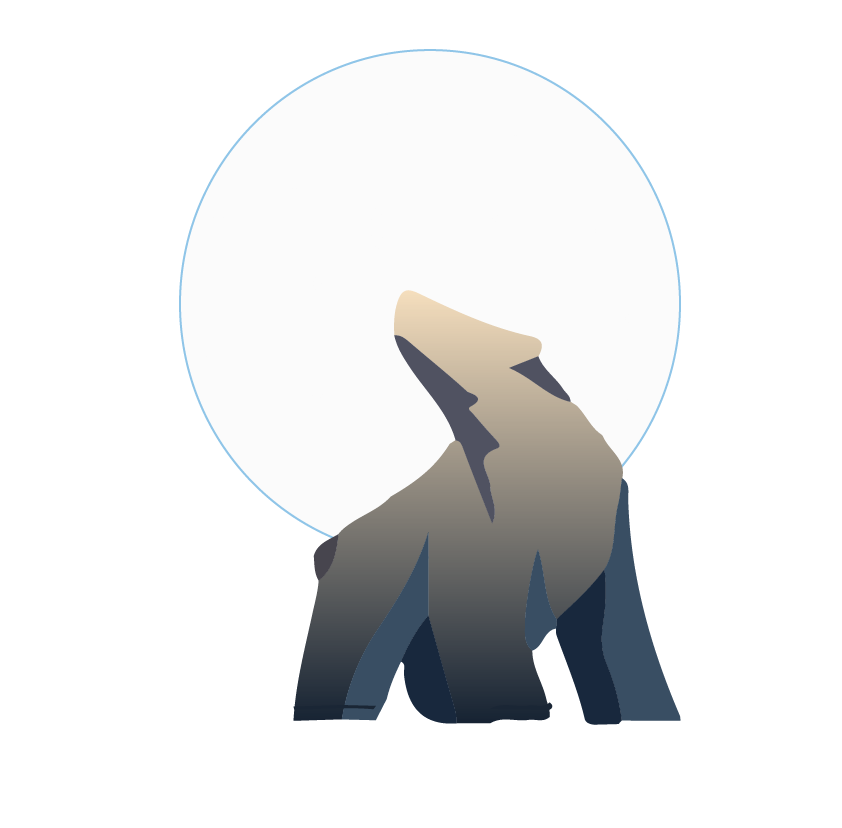 The Ursa Major Group