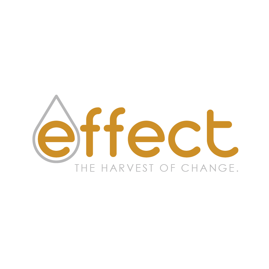 Logo with a water droplet outline around the letter 'e' followed by the word 'effect' in brown, and the tagline 'The harvest of change' in light gray below.