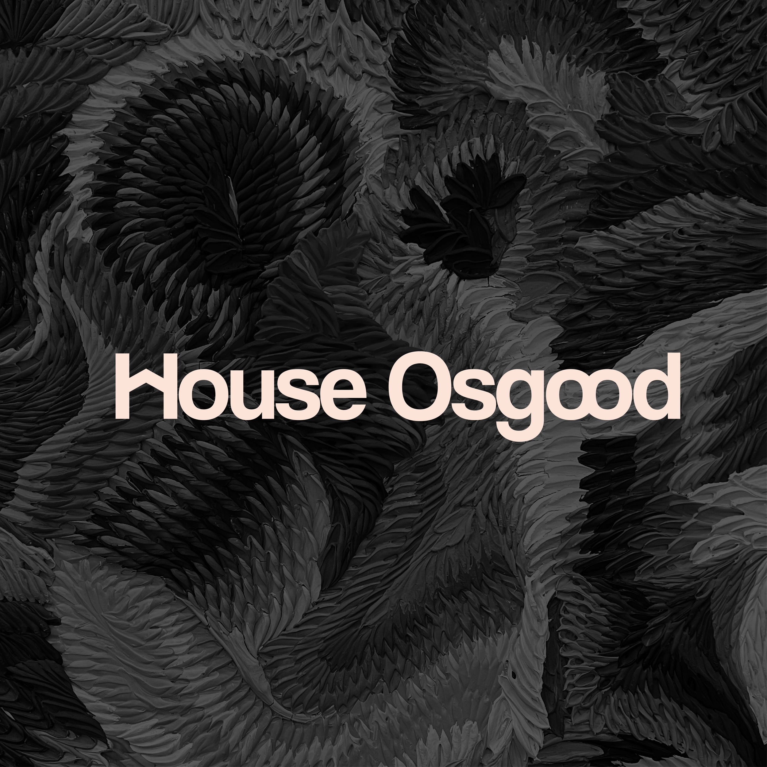 A dark, textured abstract background with swirling feather-like shapes and the text 'House Osquad' in large, light-colored font in the center.
