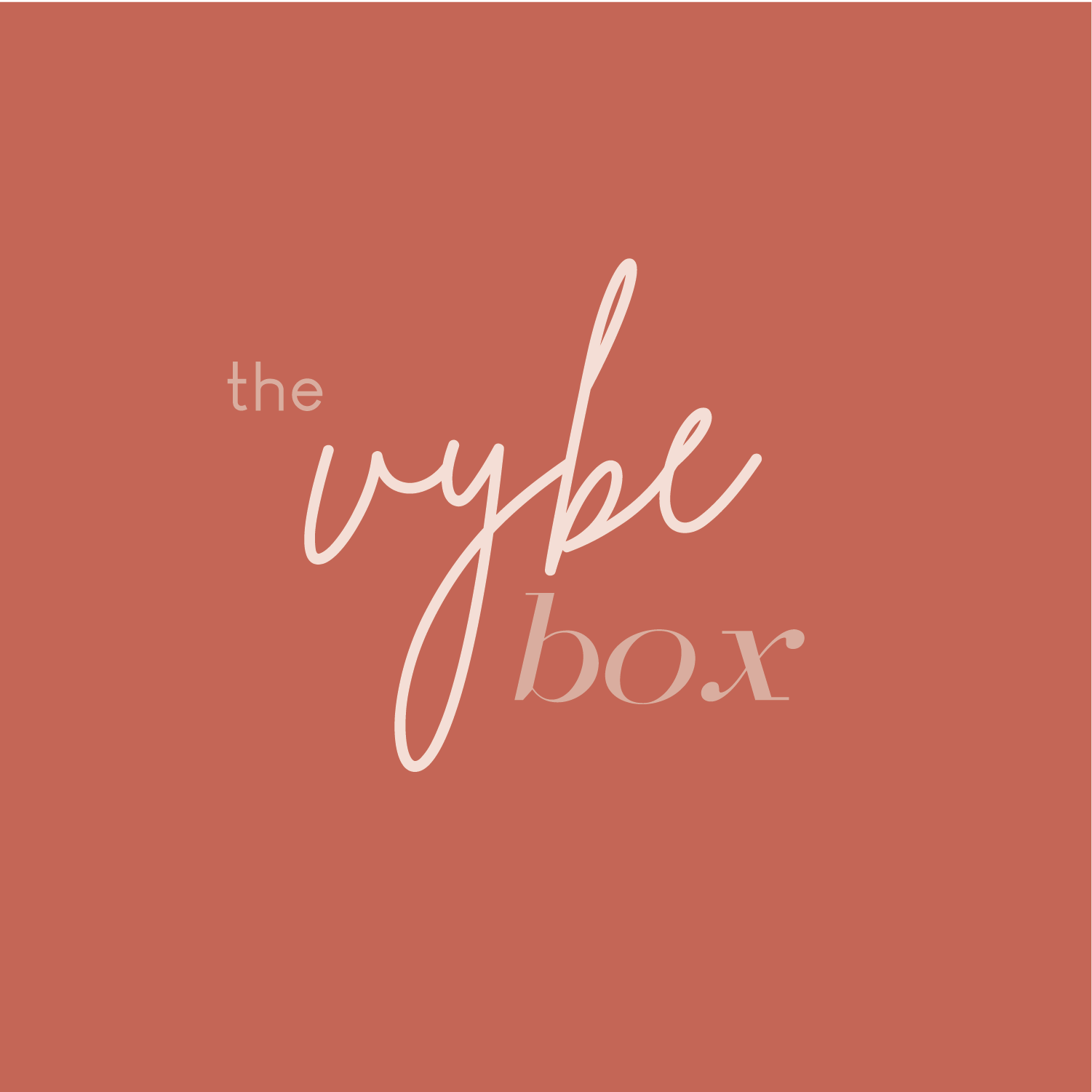 The image features a solid pink background with the words "the hype box" written in a cursive font, with "the" and "box" in a lighter pink color and "hype" in a darker pink shade.
